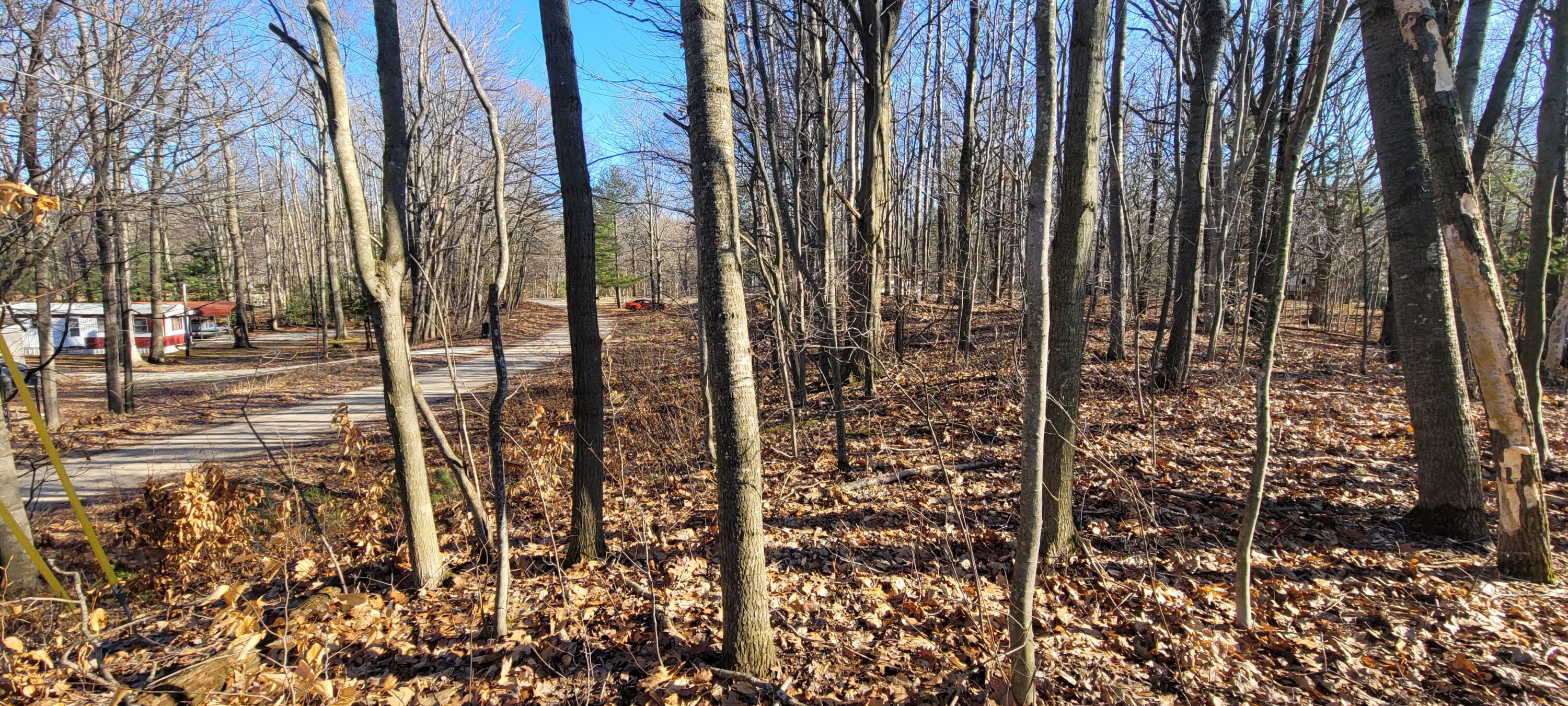 0 Lot 143 W Wildridge Road, 143