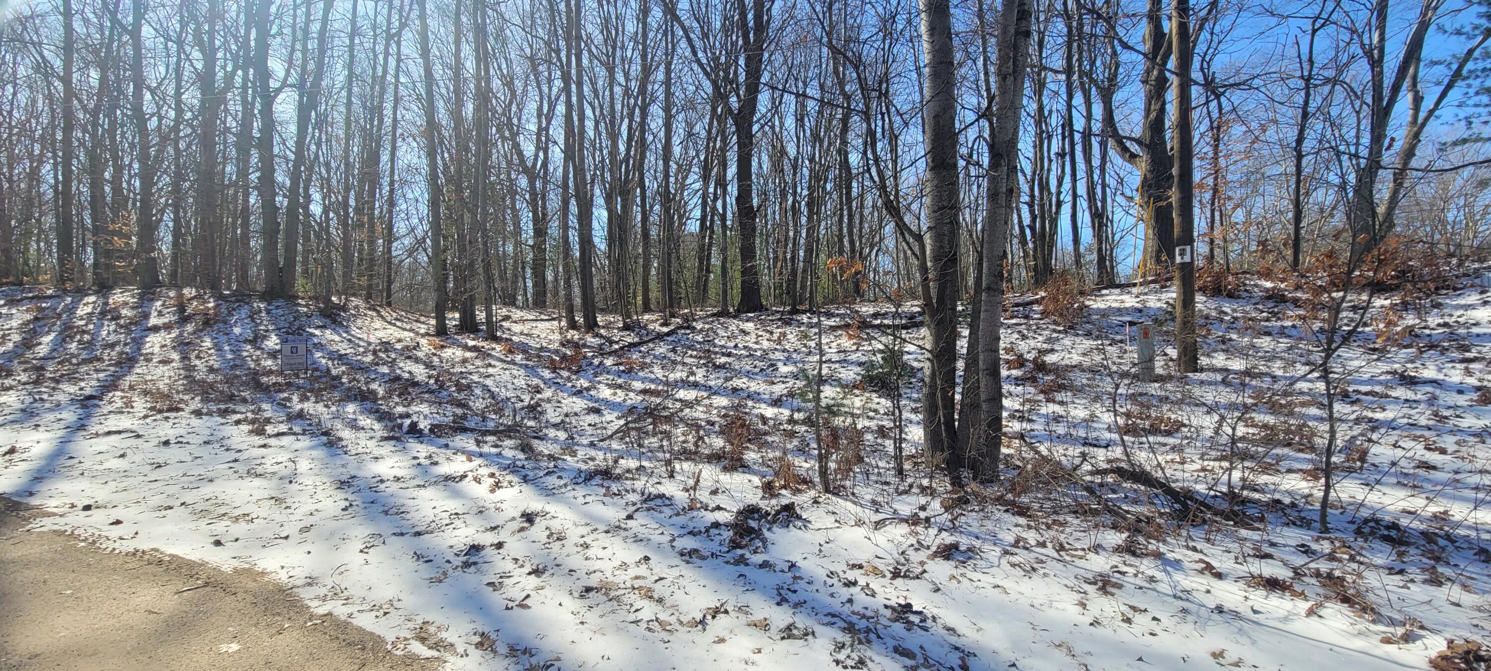 0 Lot 143 W Wildridge Road, 143