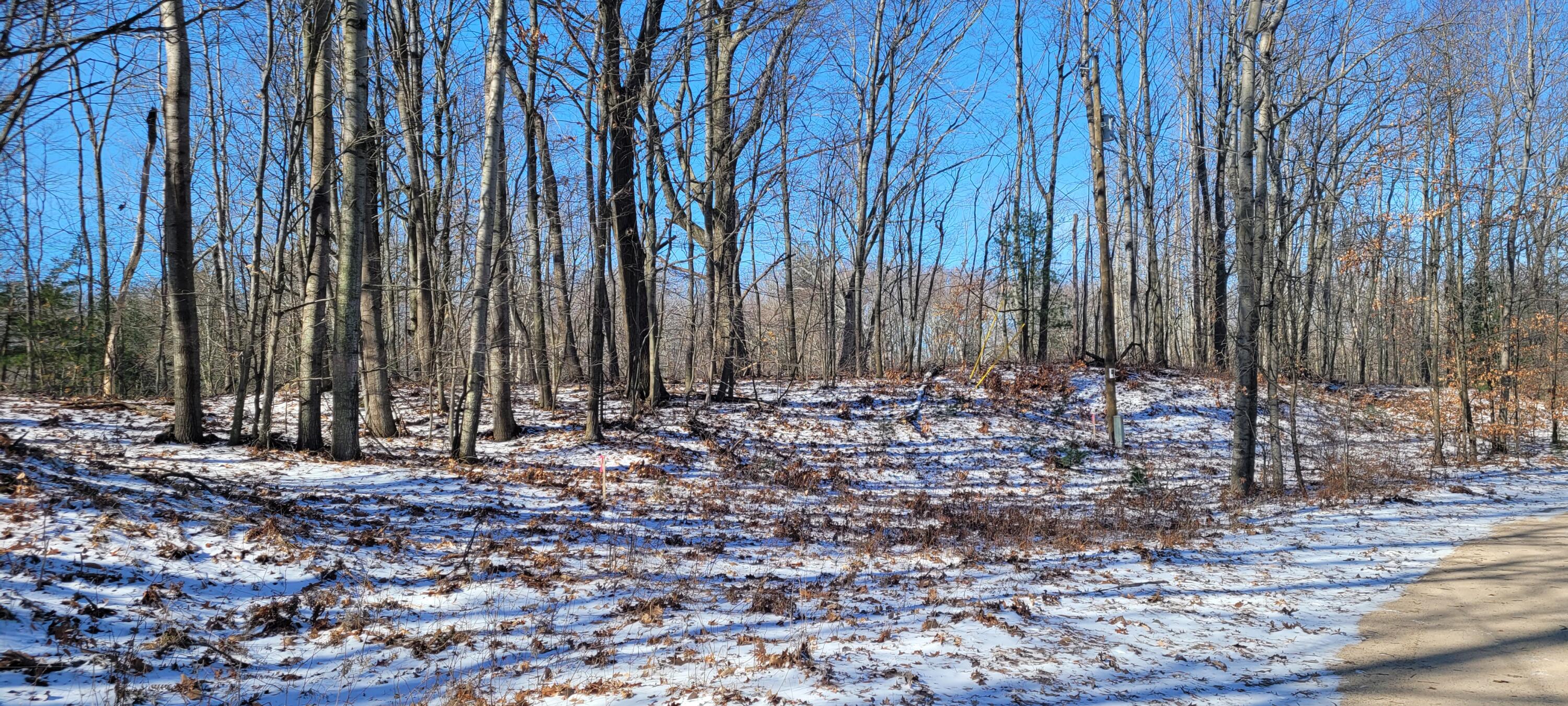 0 Lot 143 W Wildridge Road, 143