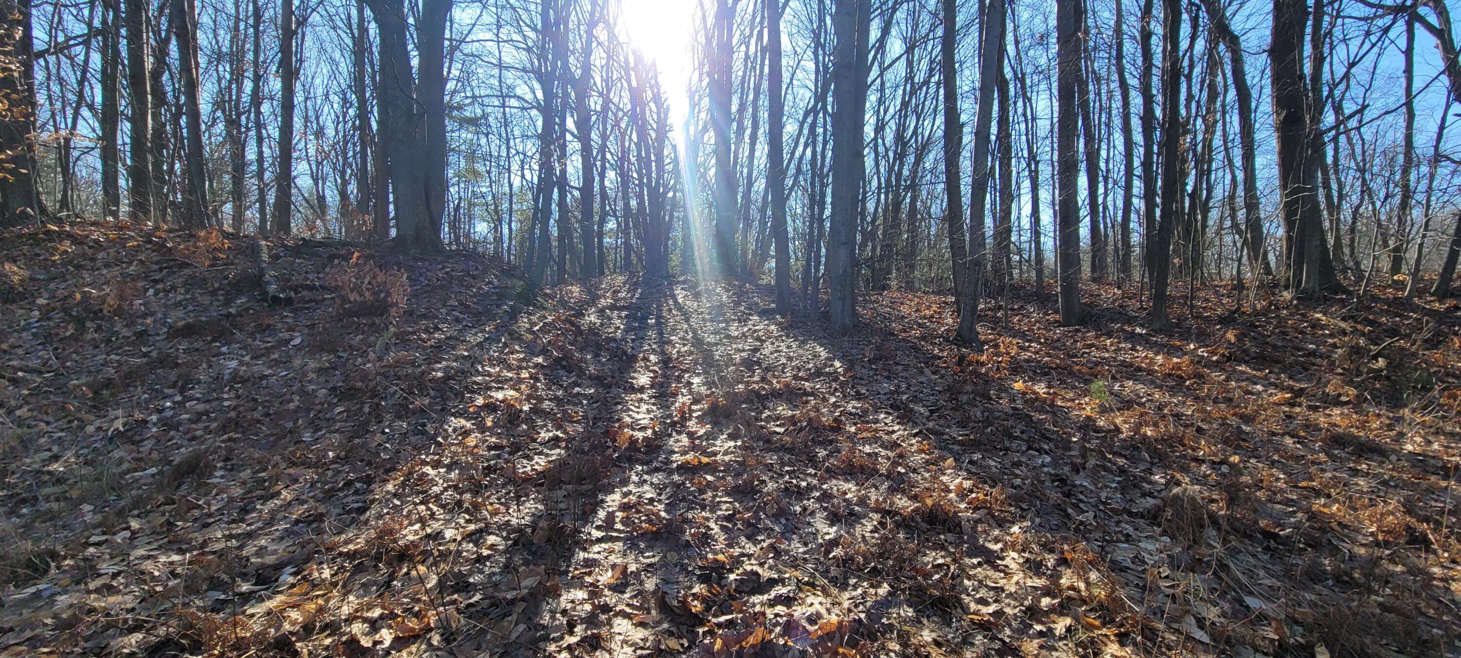 0 Lot 143 W Wildridge Road, 143