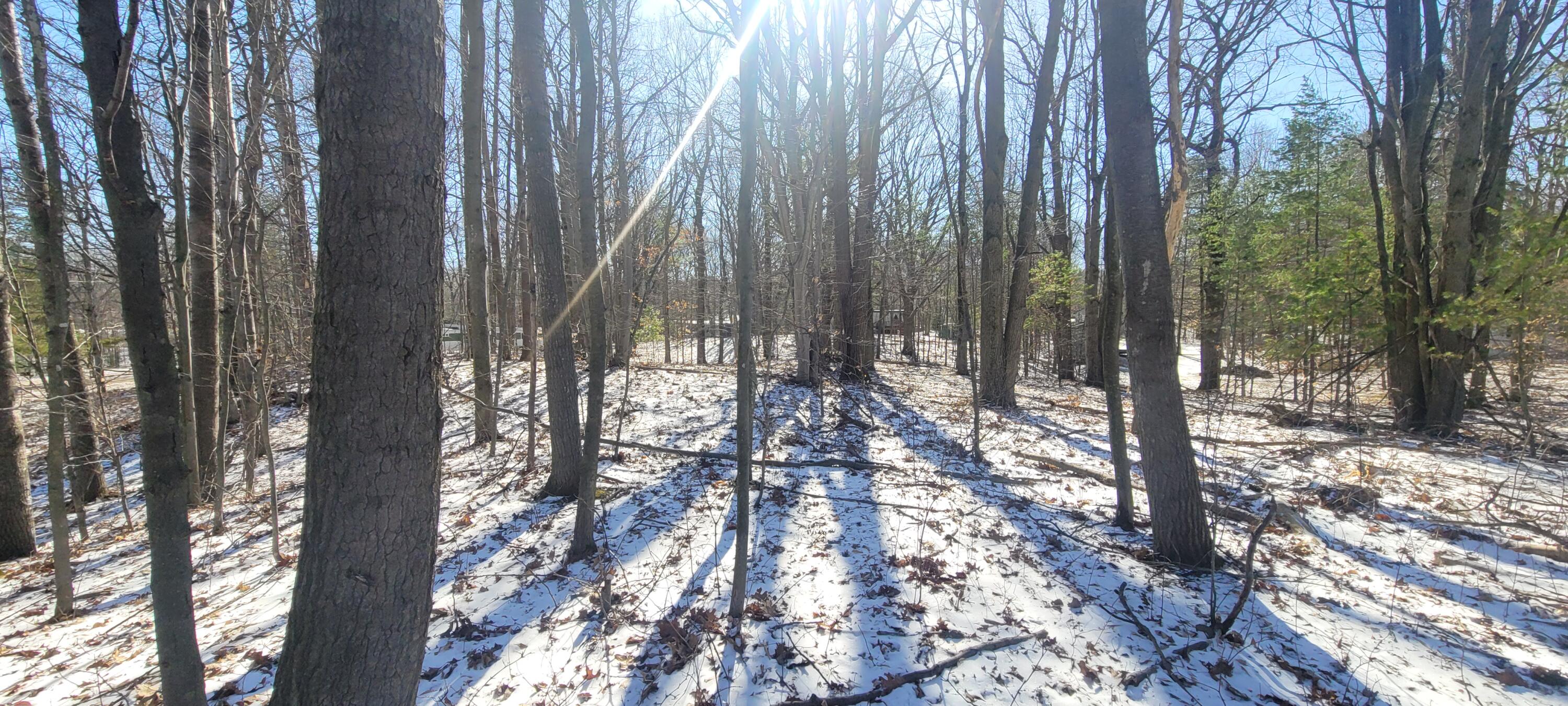 0 Lot 143 W Wildridge Road, 143