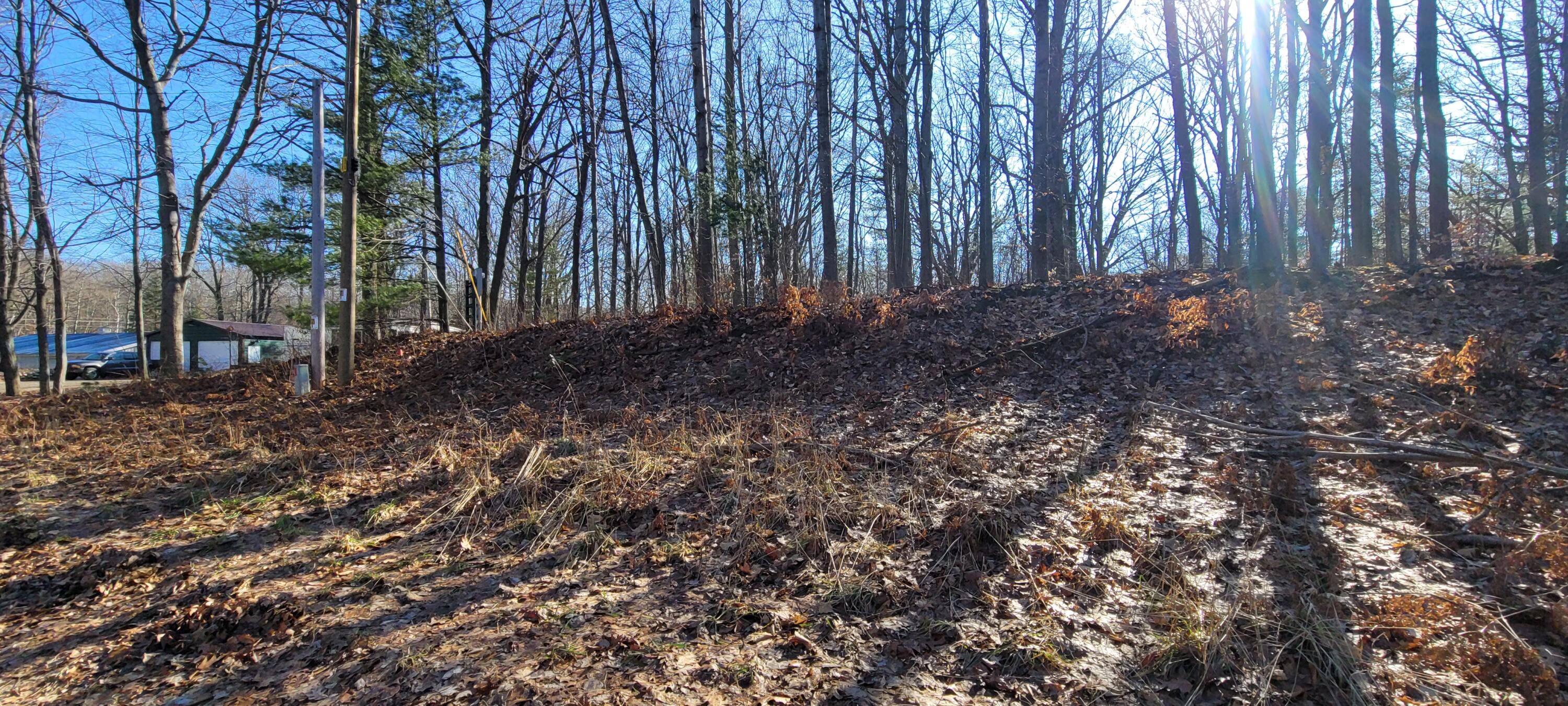 0 Lot 143 W Wildridge Road, 143