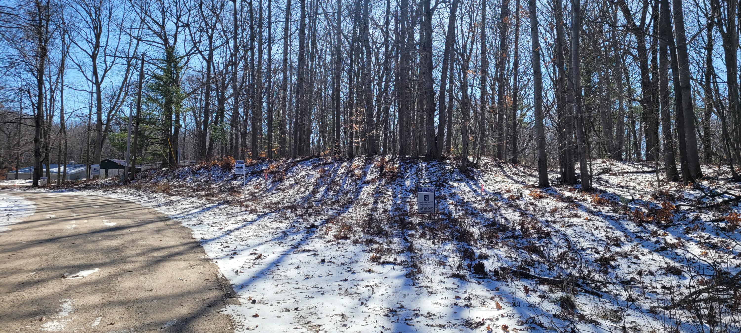 0 Lot 143 W Wildridge Road, 143