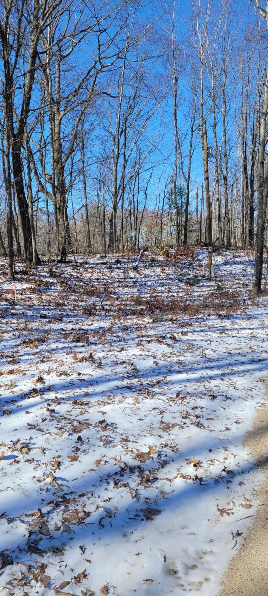 0 Lot 143 W Wildridge Road, 143