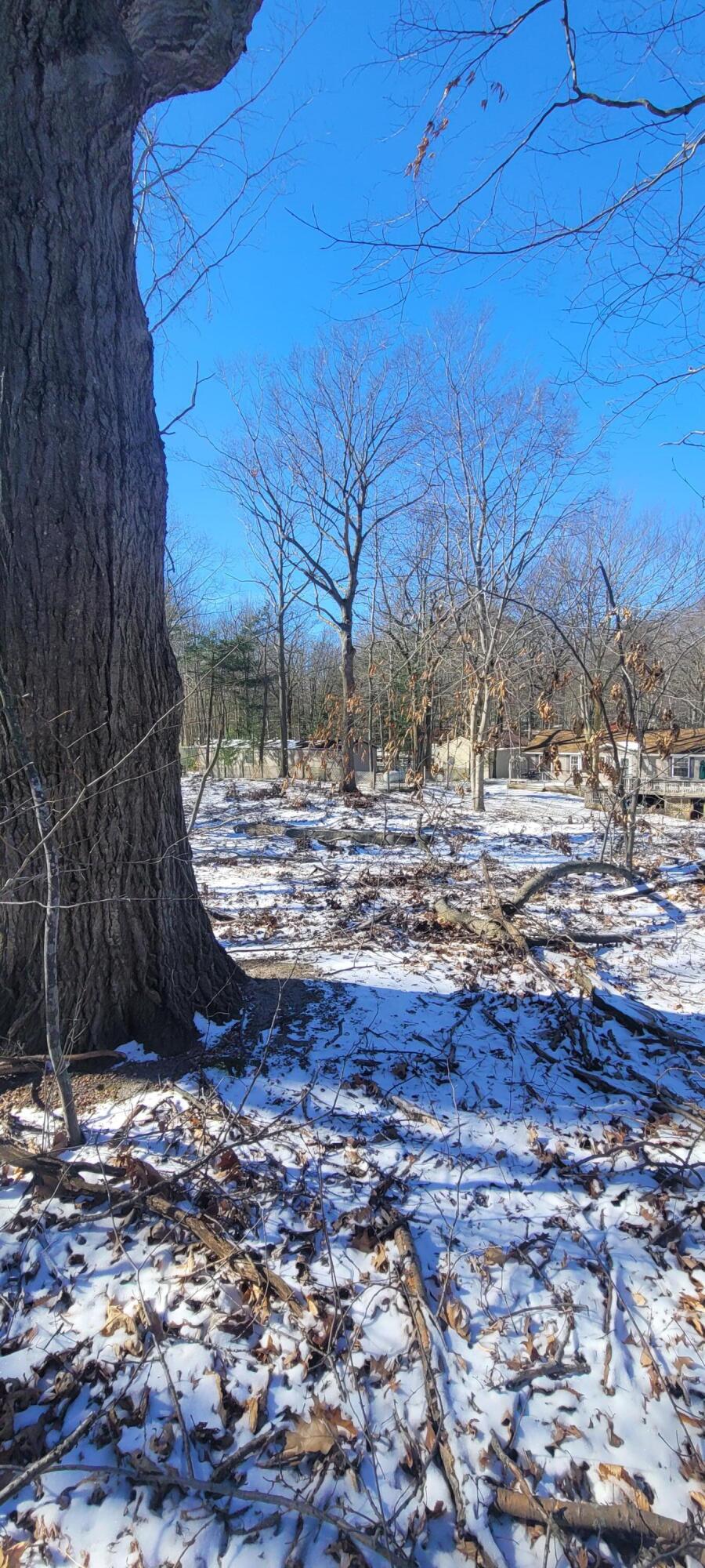 0 Lot 143 W Wildridge Road, 143