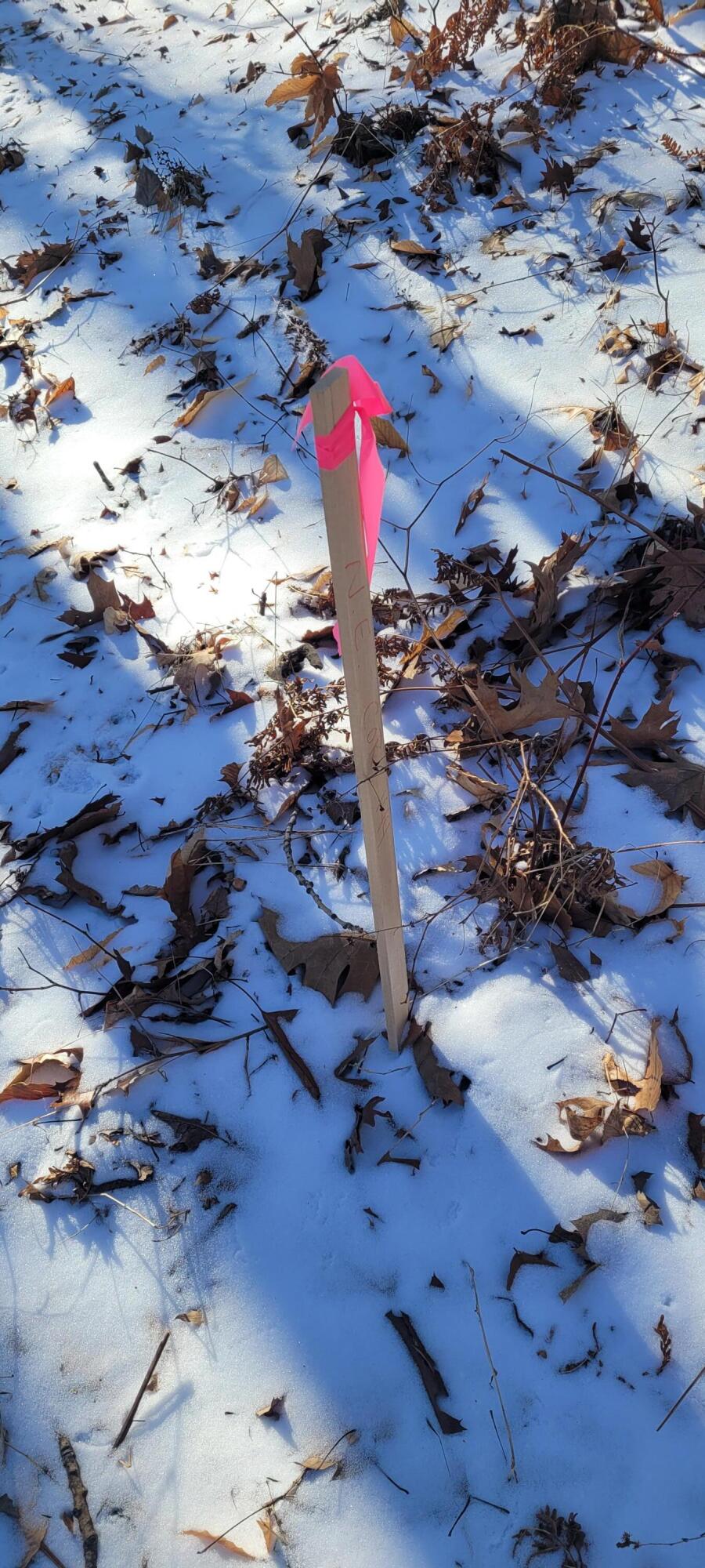 0 Lot 143 W Wildridge Road, 143