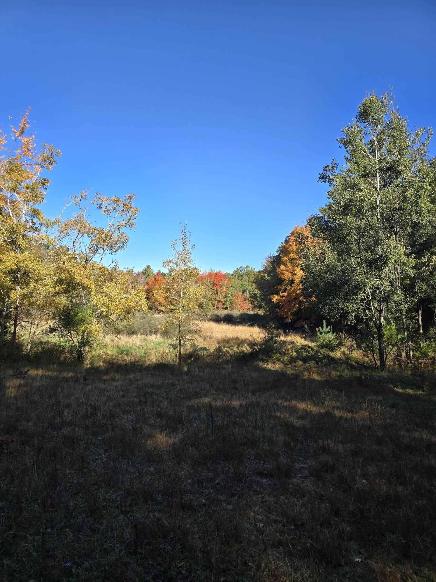 4910 Holton Whitehall Road