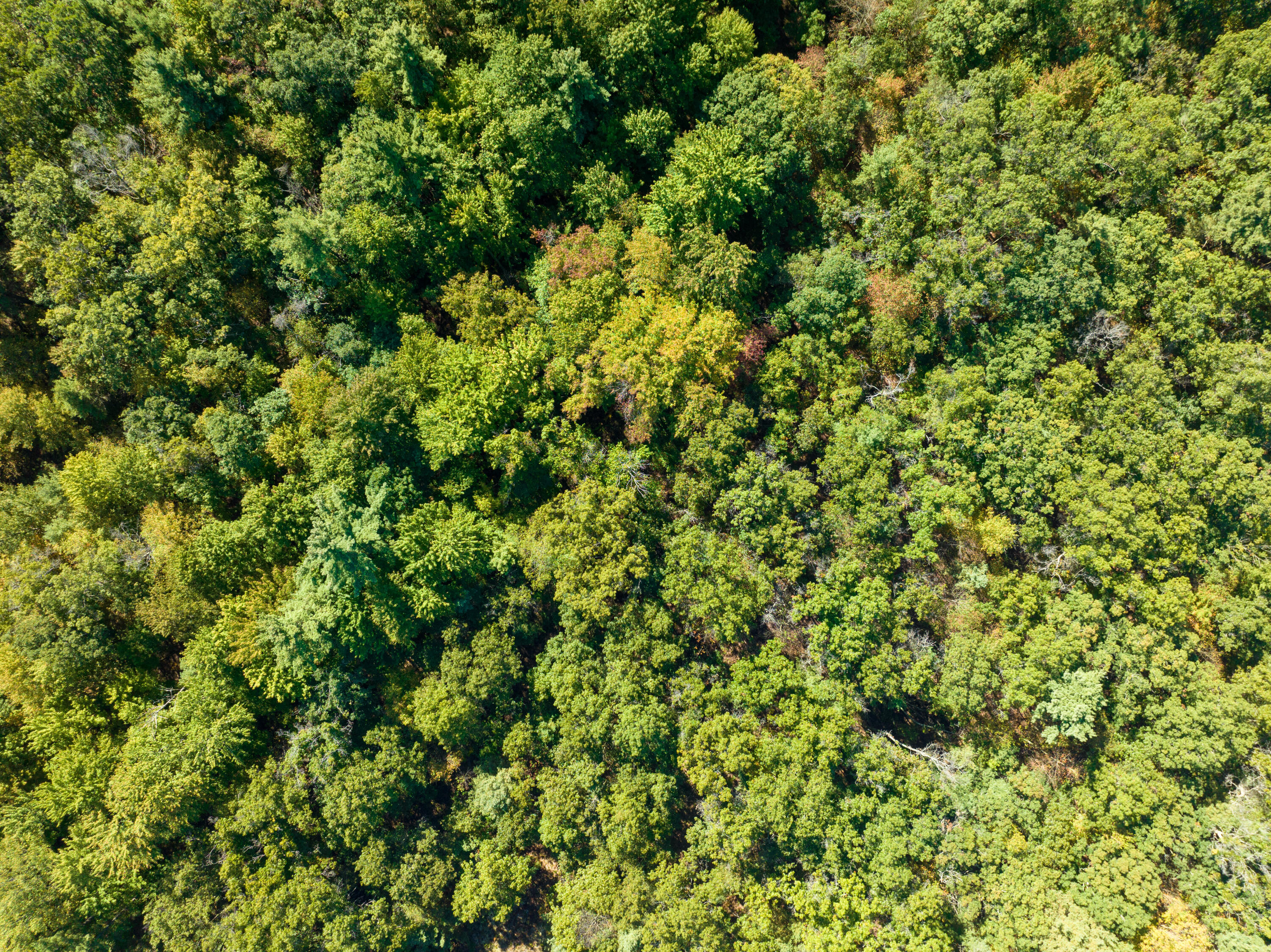 4910 Holton Whitehall Road