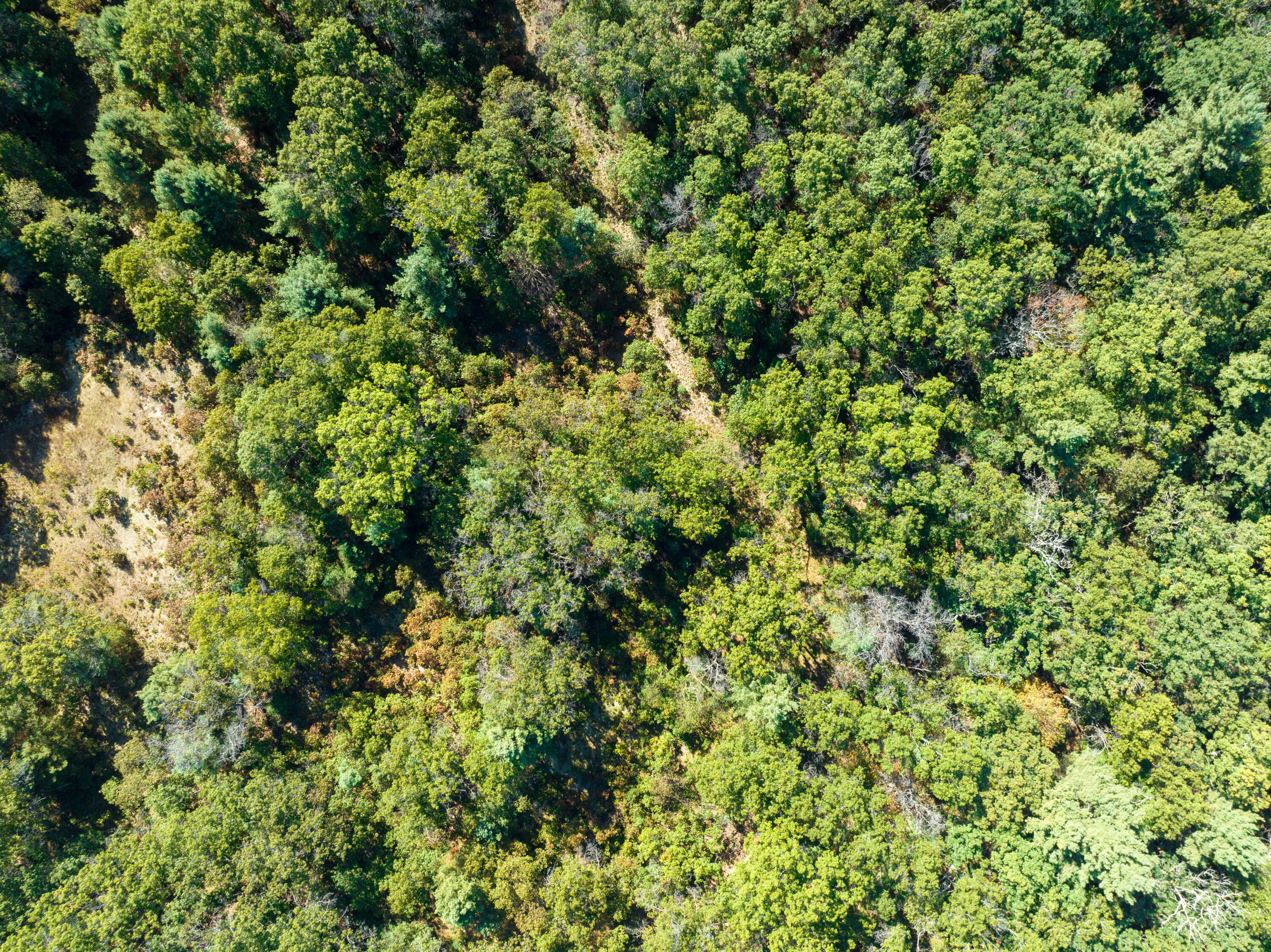 4910 Holton Whitehall Road