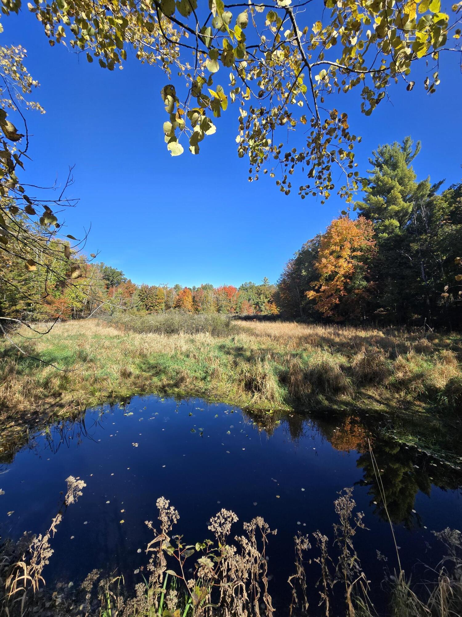 4910 Holton Whitehall Road