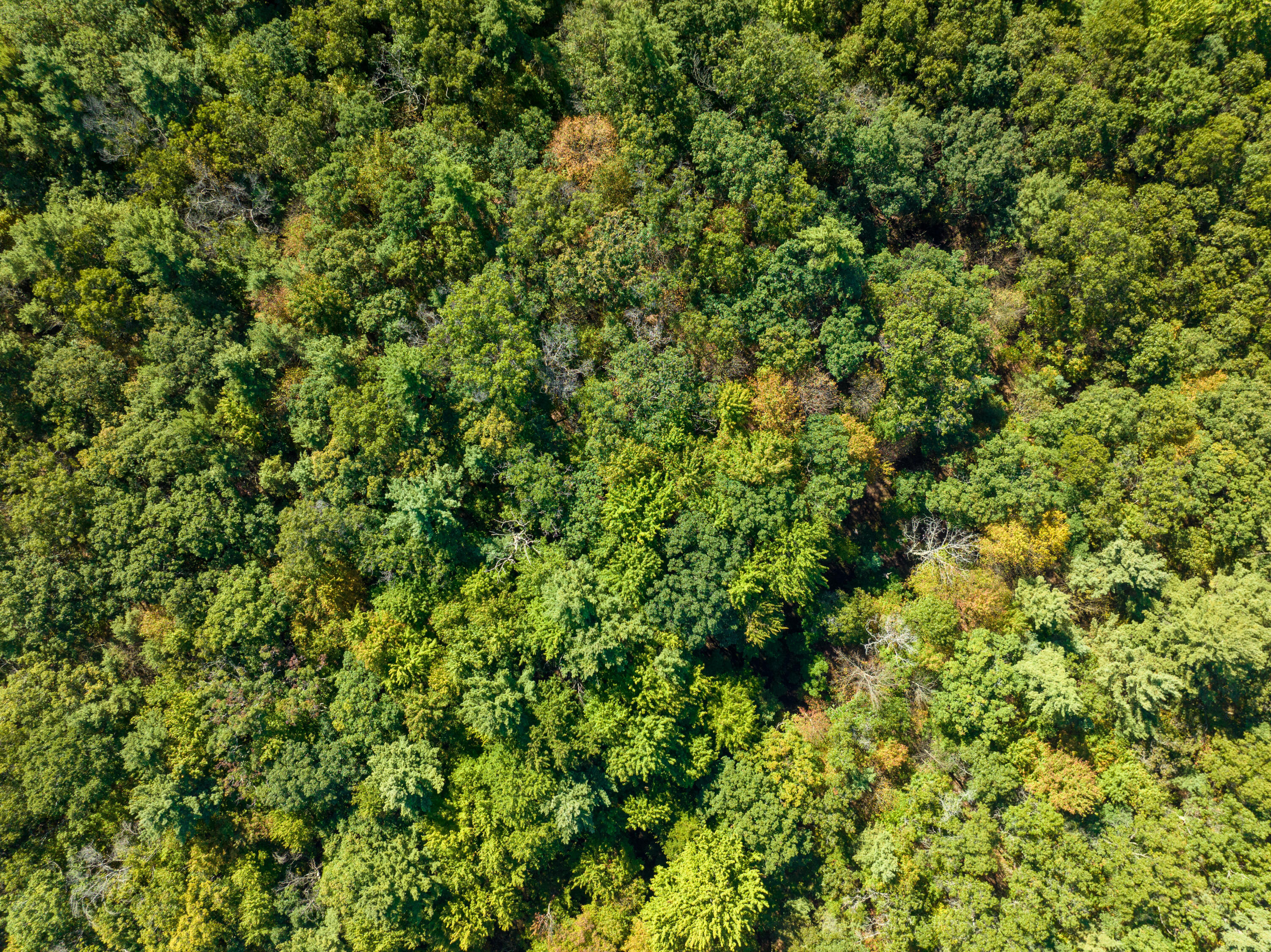 4910 Holton Whitehall Road