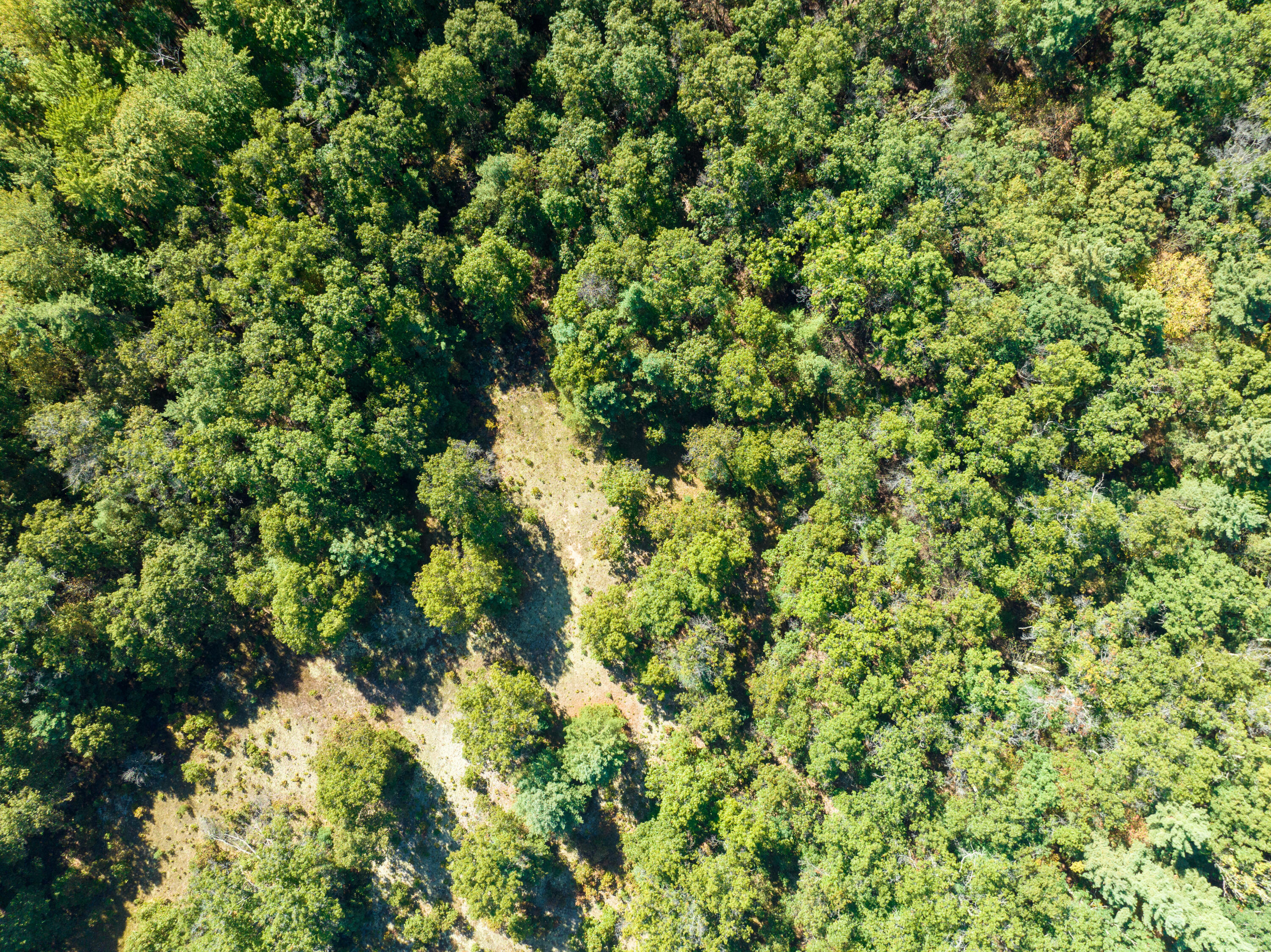 4910 Holton Whitehall Road