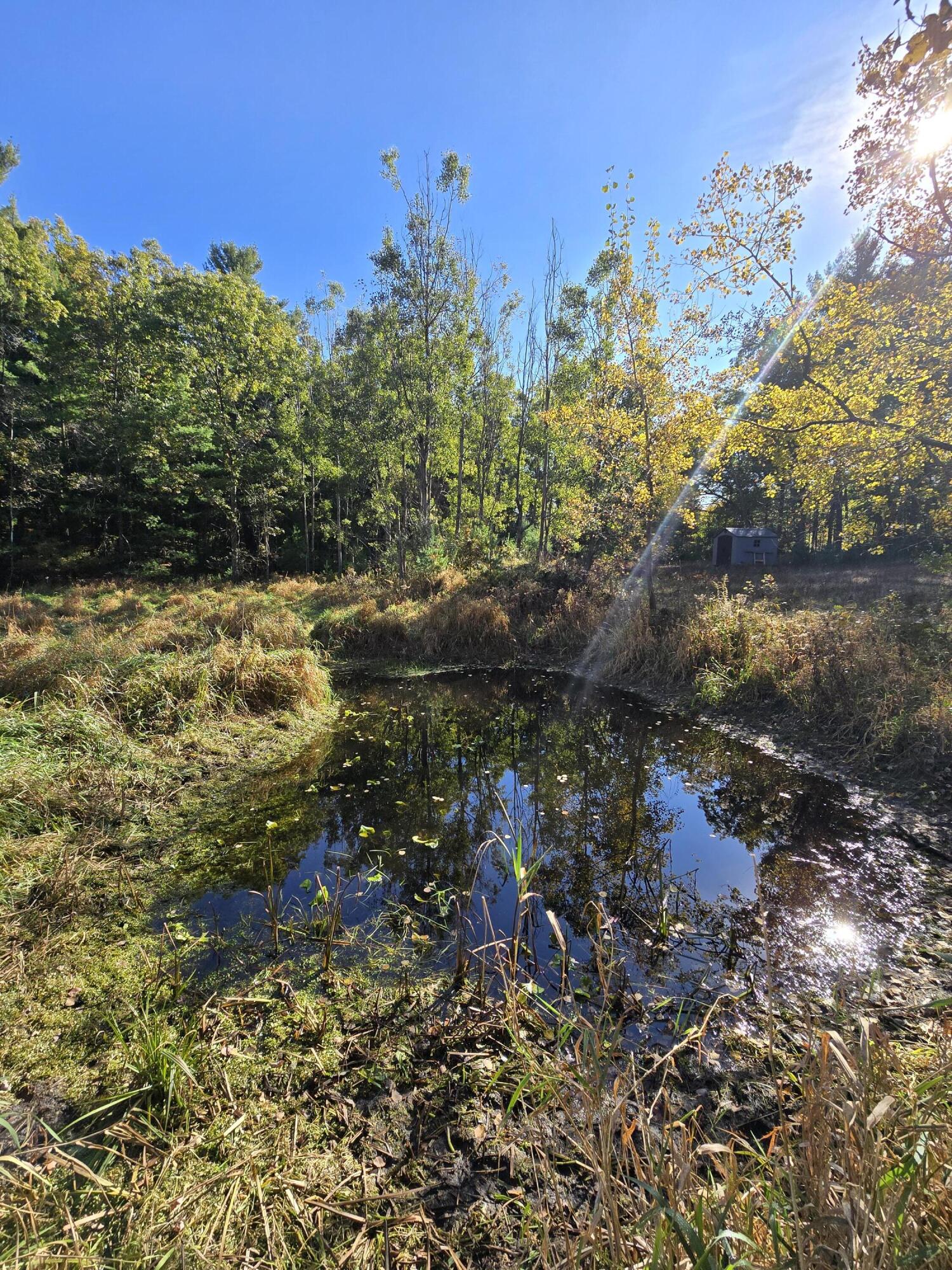 4910 Holton Whitehall Road