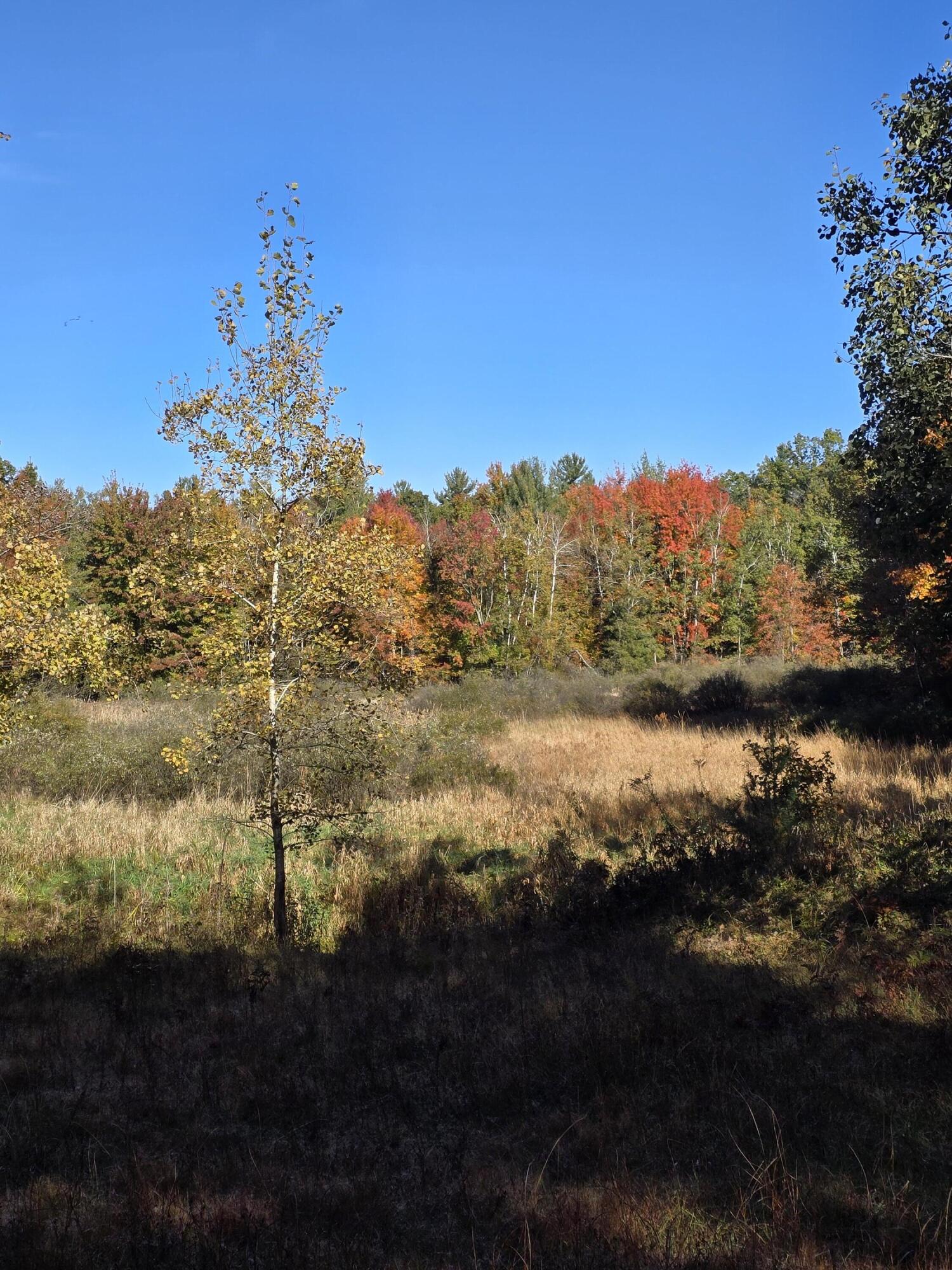 4910 Holton Whitehall Road