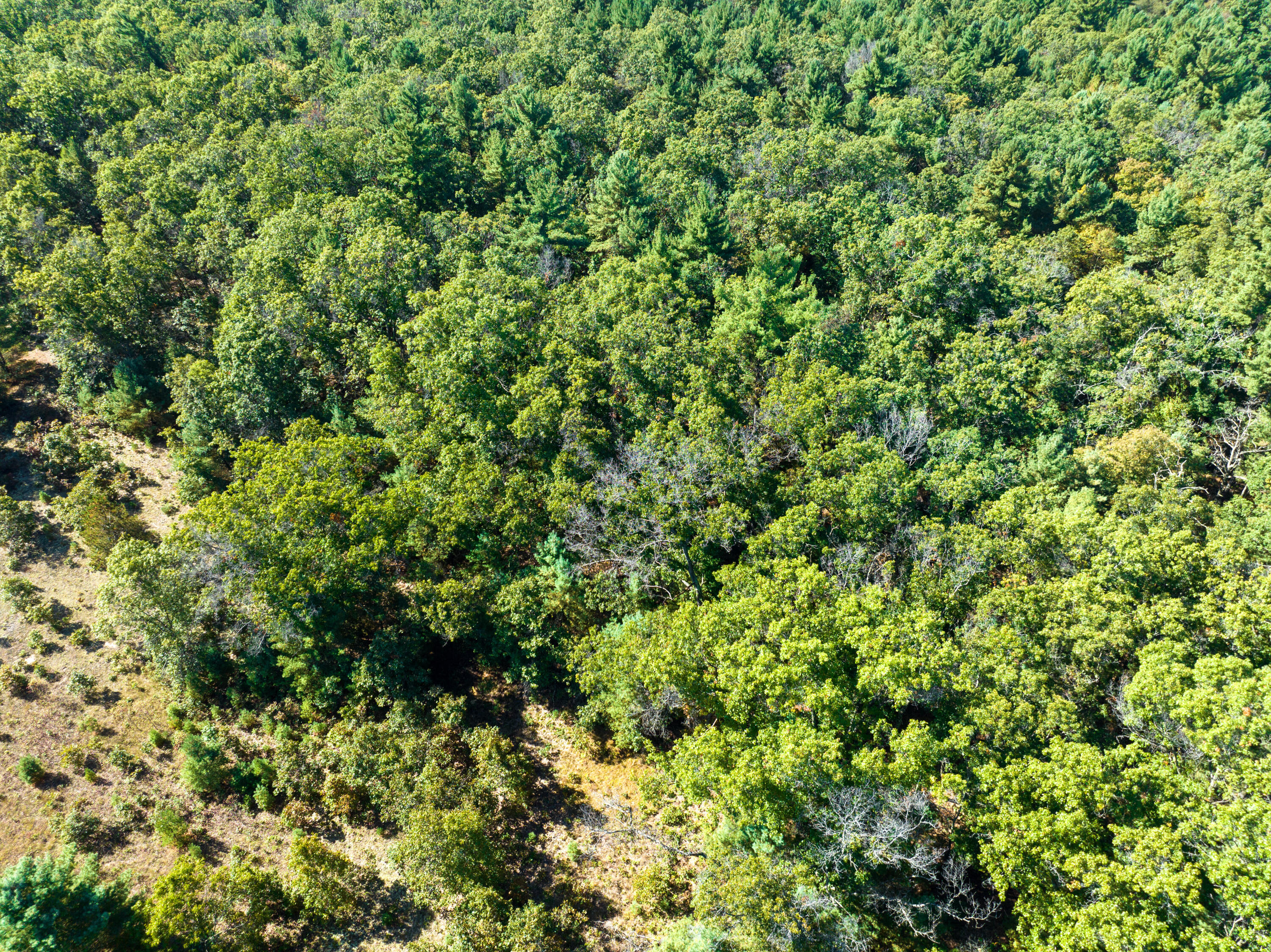 4910 Holton Whitehall Road