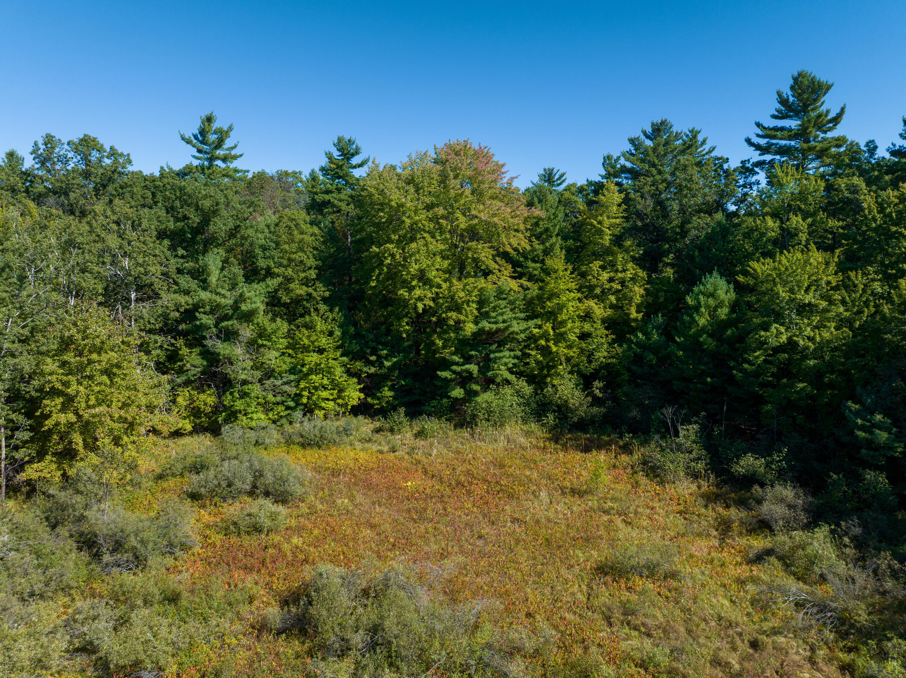 4910 Holton Whitehall Road