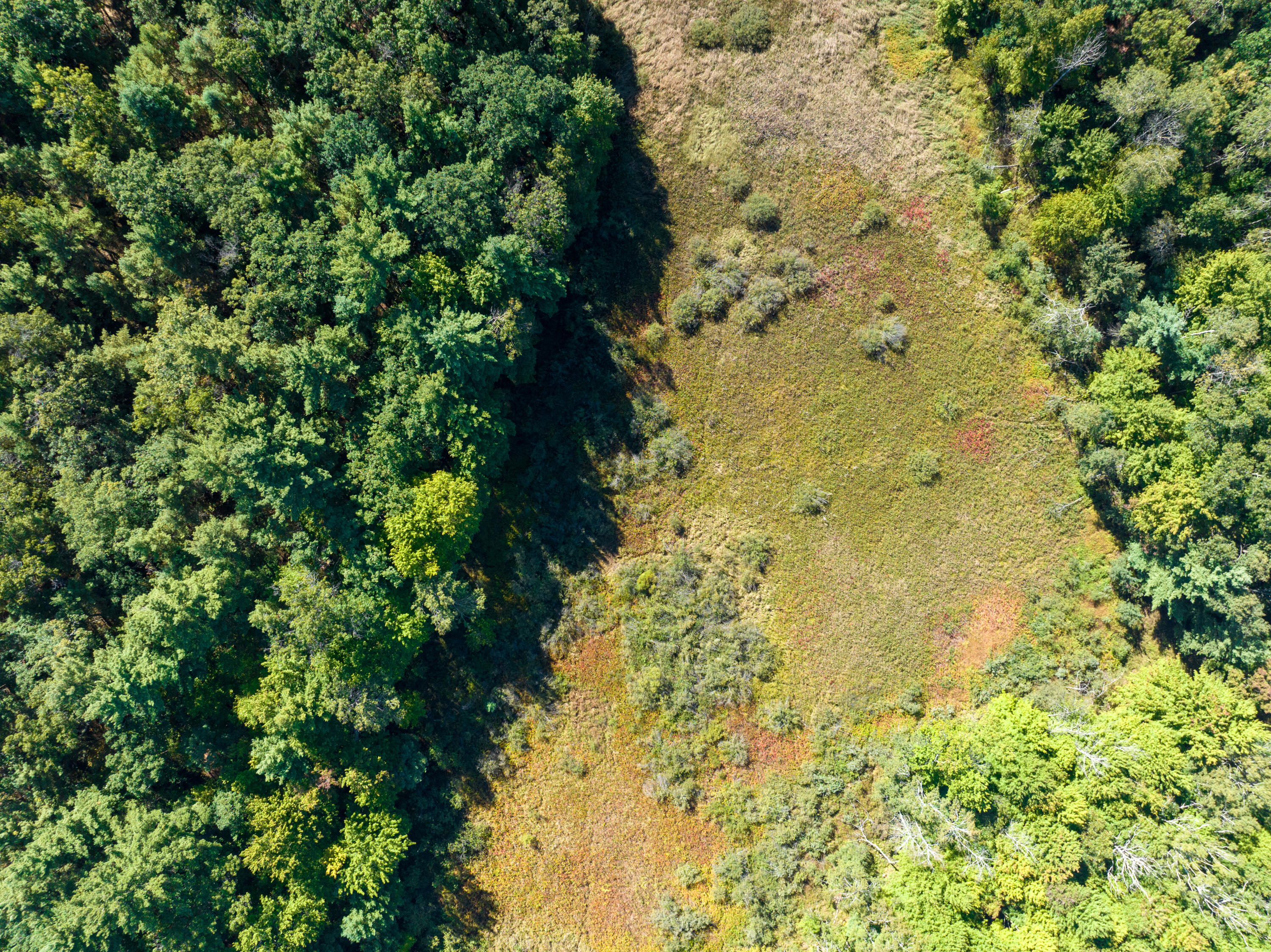 4910 Holton Whitehall Road