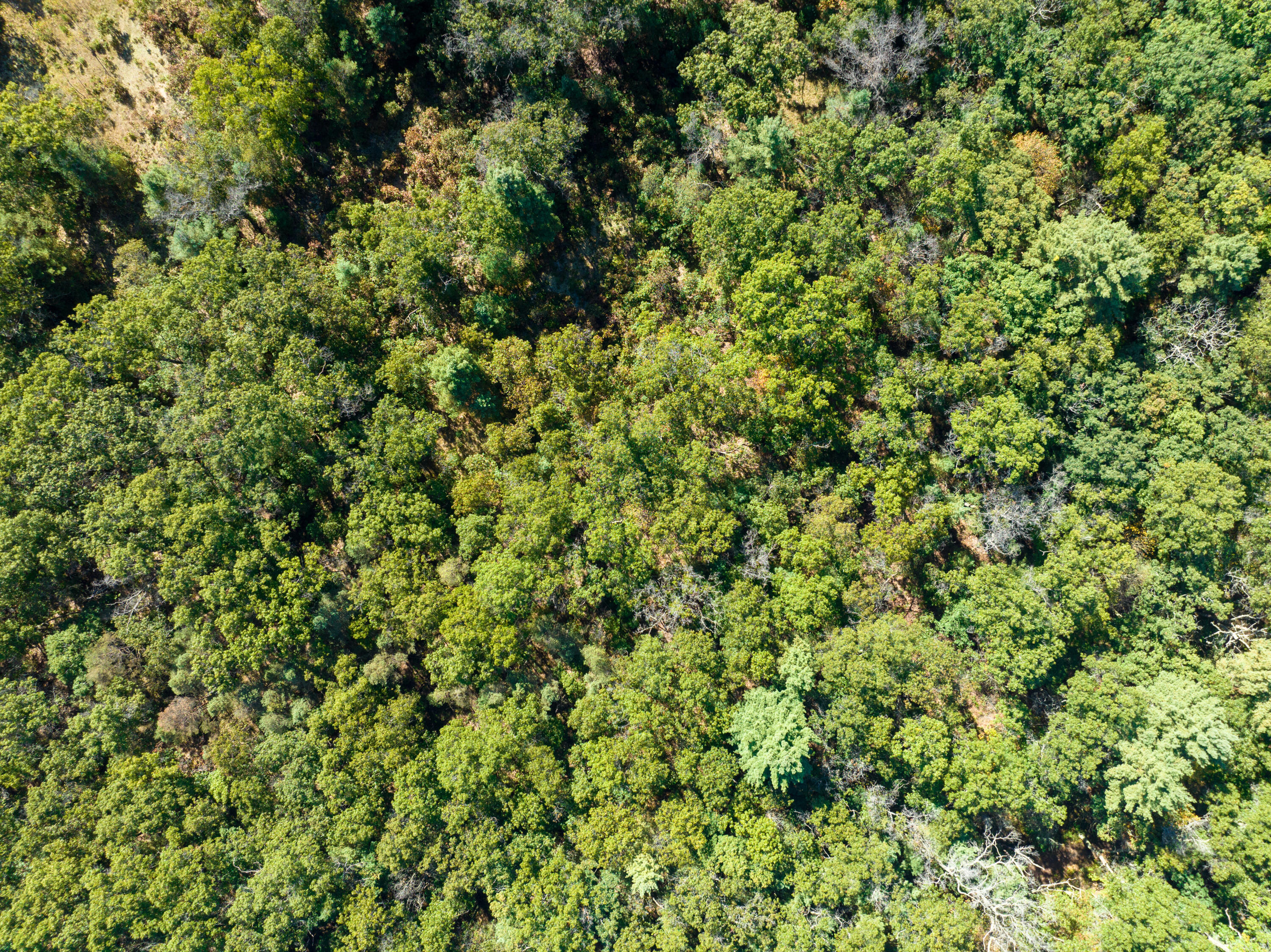 4910 Holton Whitehall Road