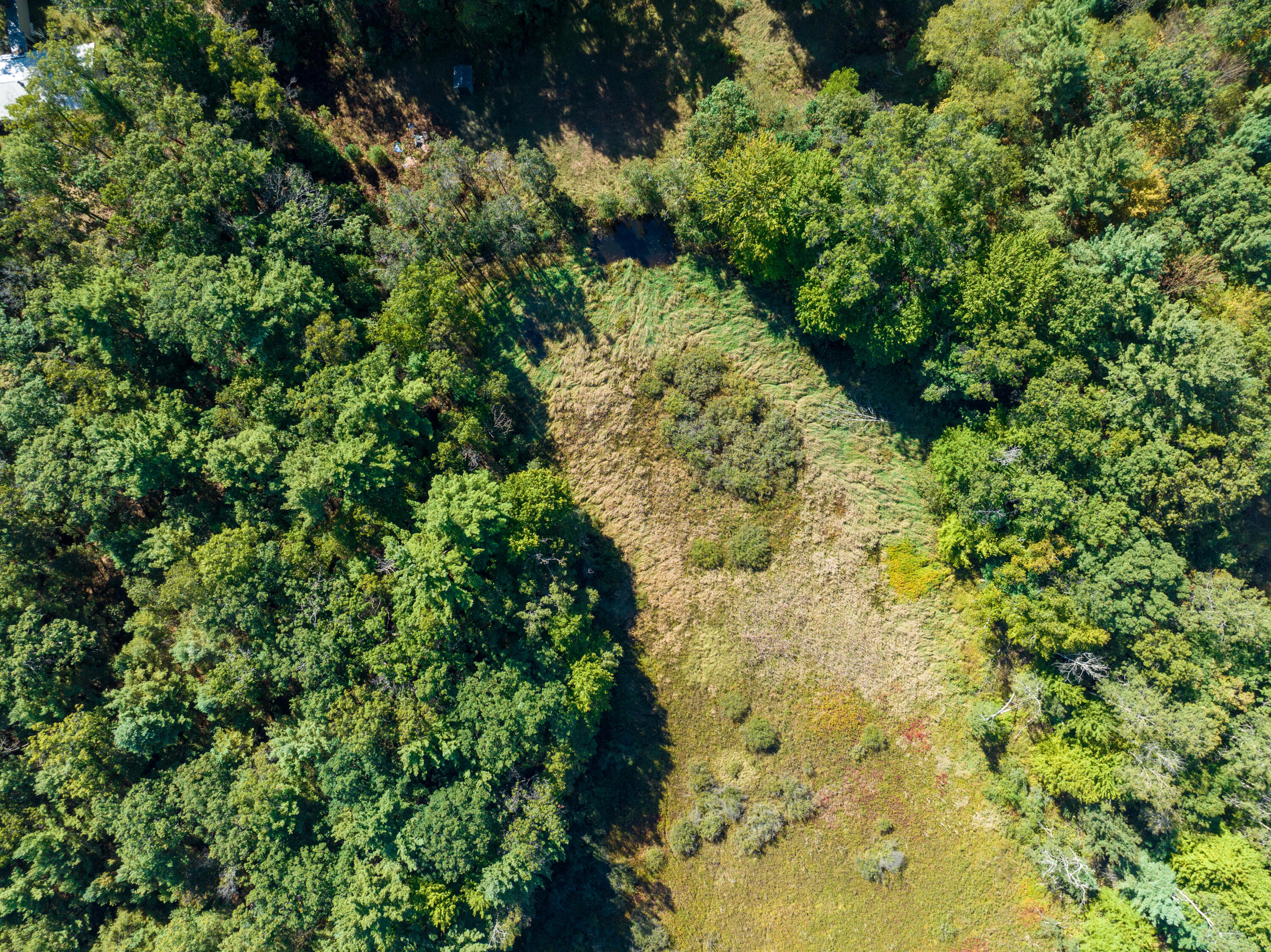 4910 Holton Whitehall Road