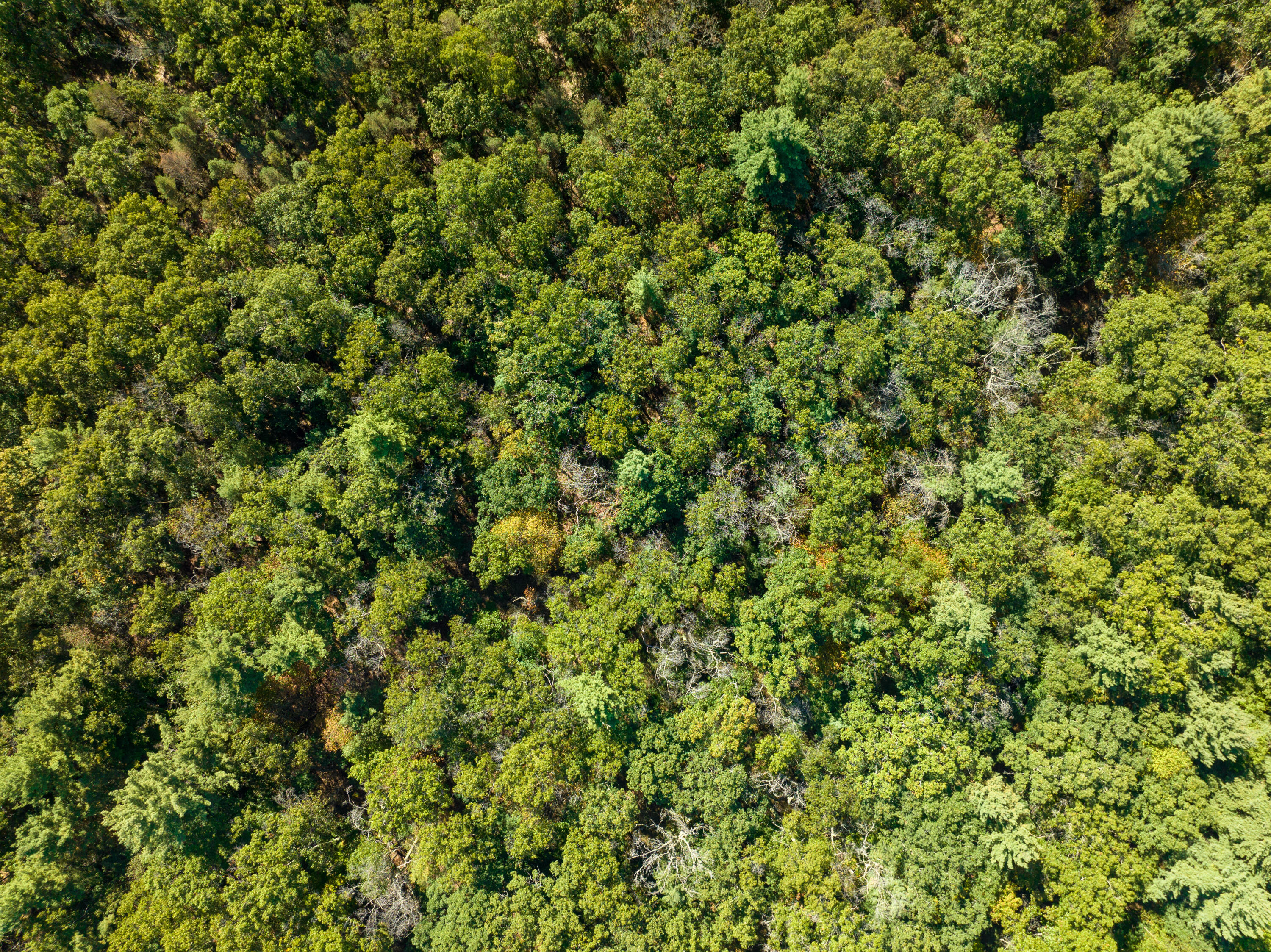 4910 Holton Whitehall Road