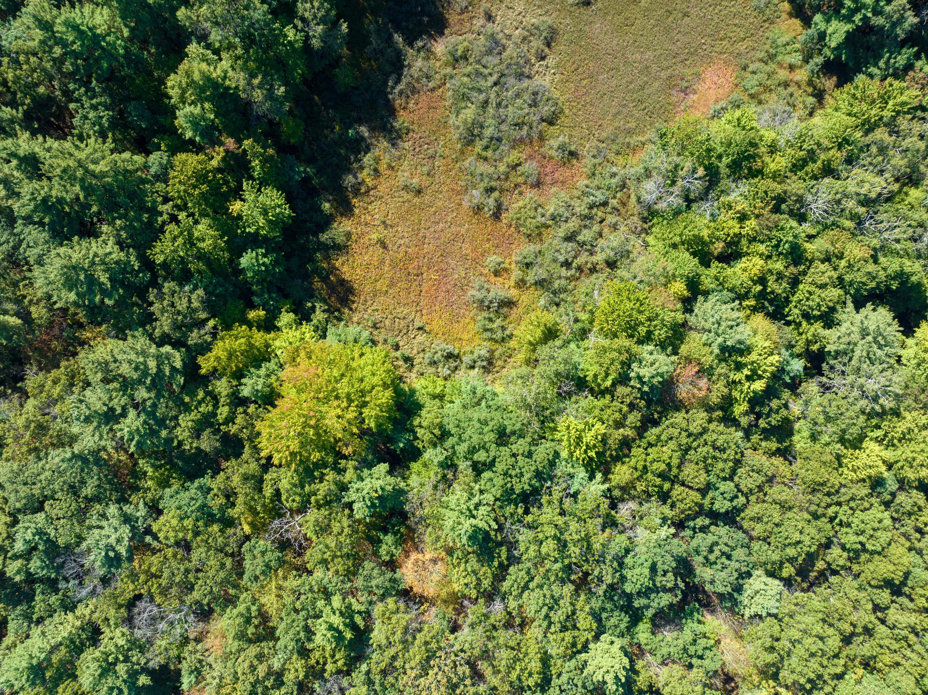 4910 Holton Whitehall Road