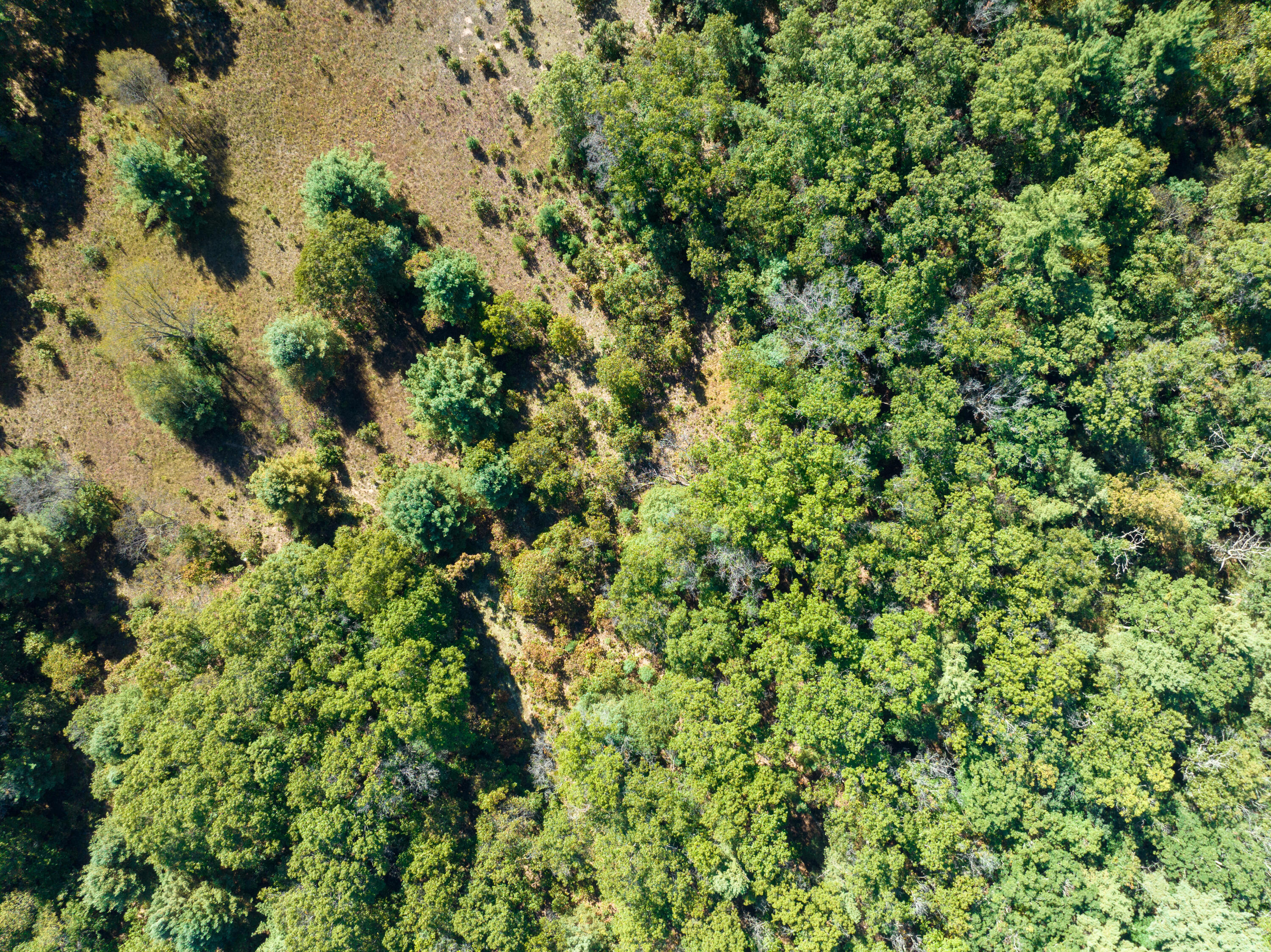 4910 Holton Whitehall Road