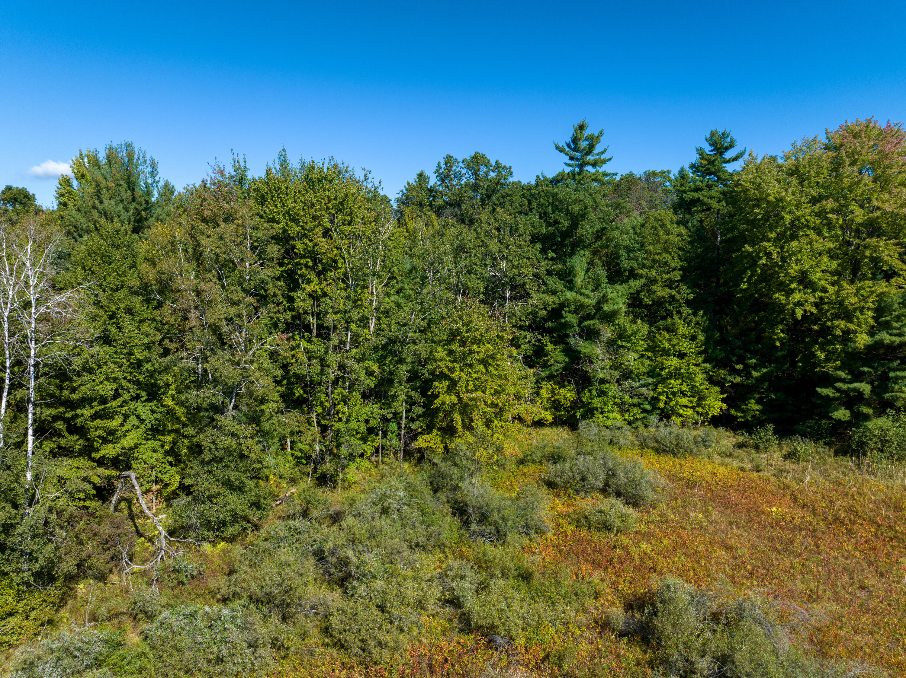 4910 Holton Whitehall Road