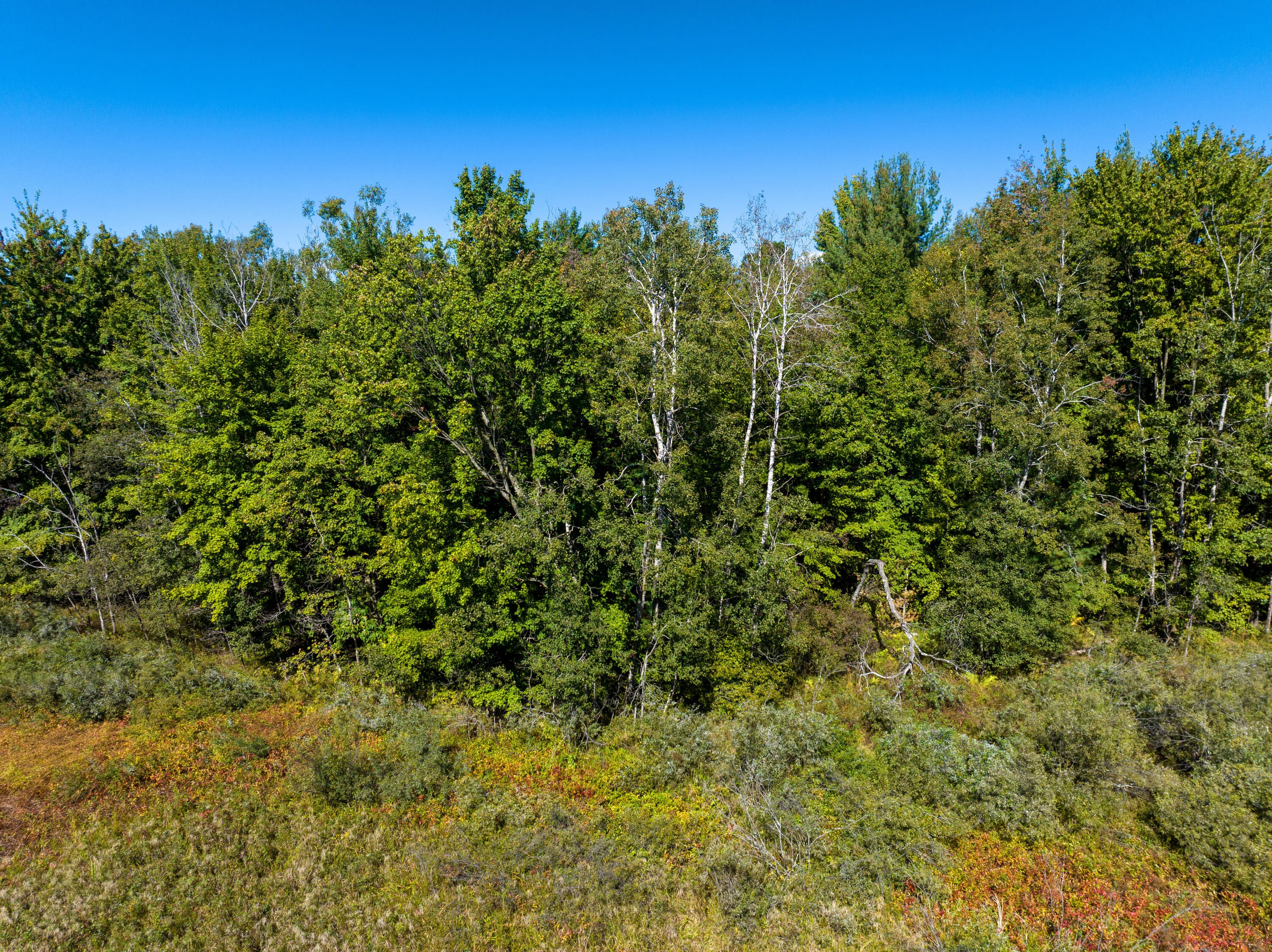 4910 Holton Whitehall Road