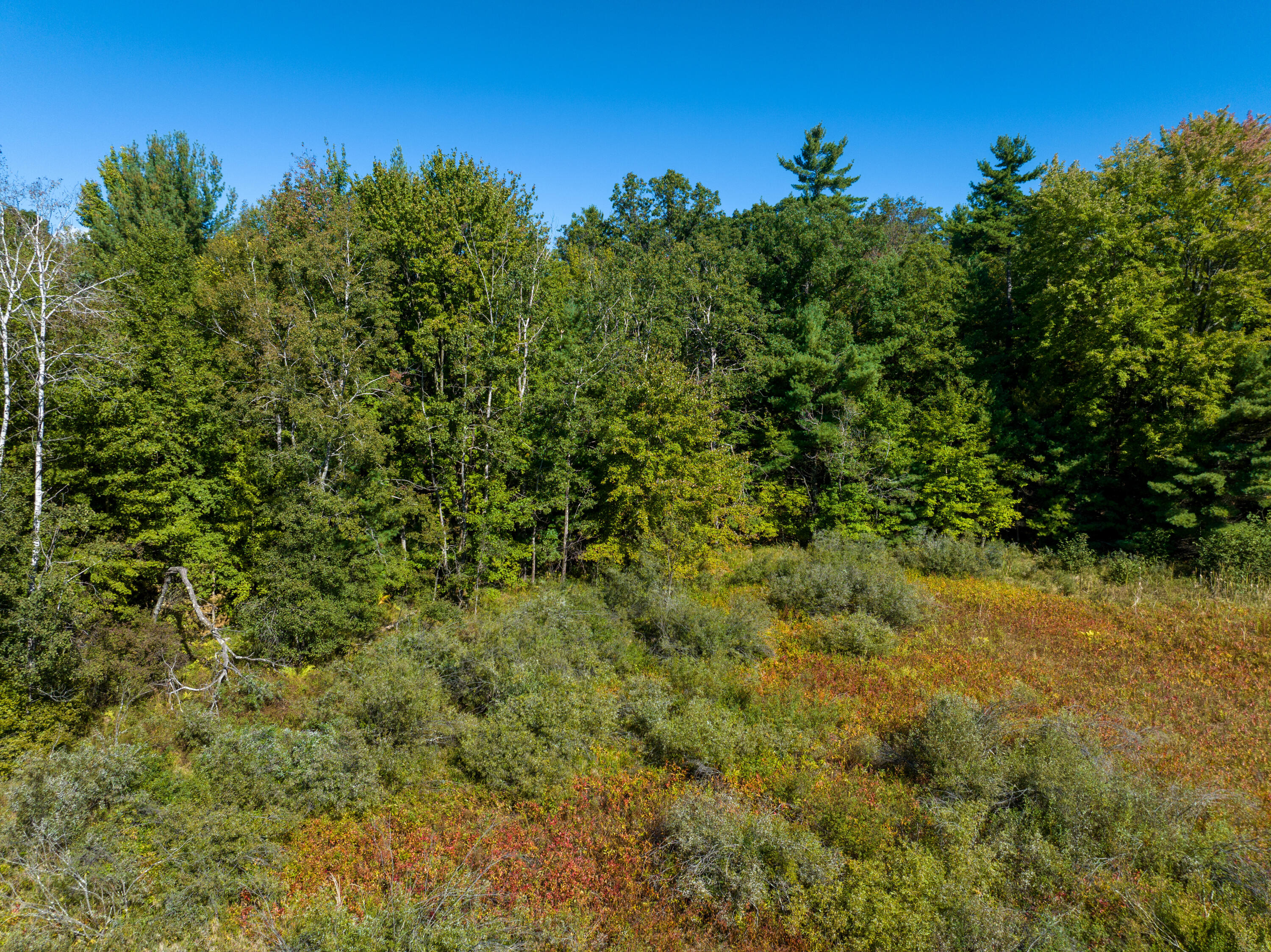 4910 Holton Whitehall Road