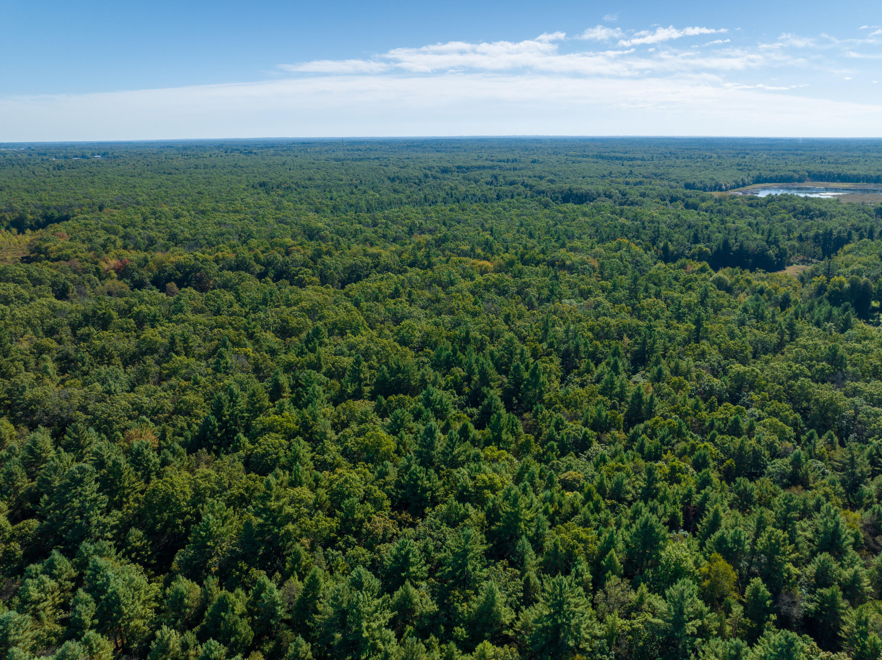 4910 Holton Whitehall Road