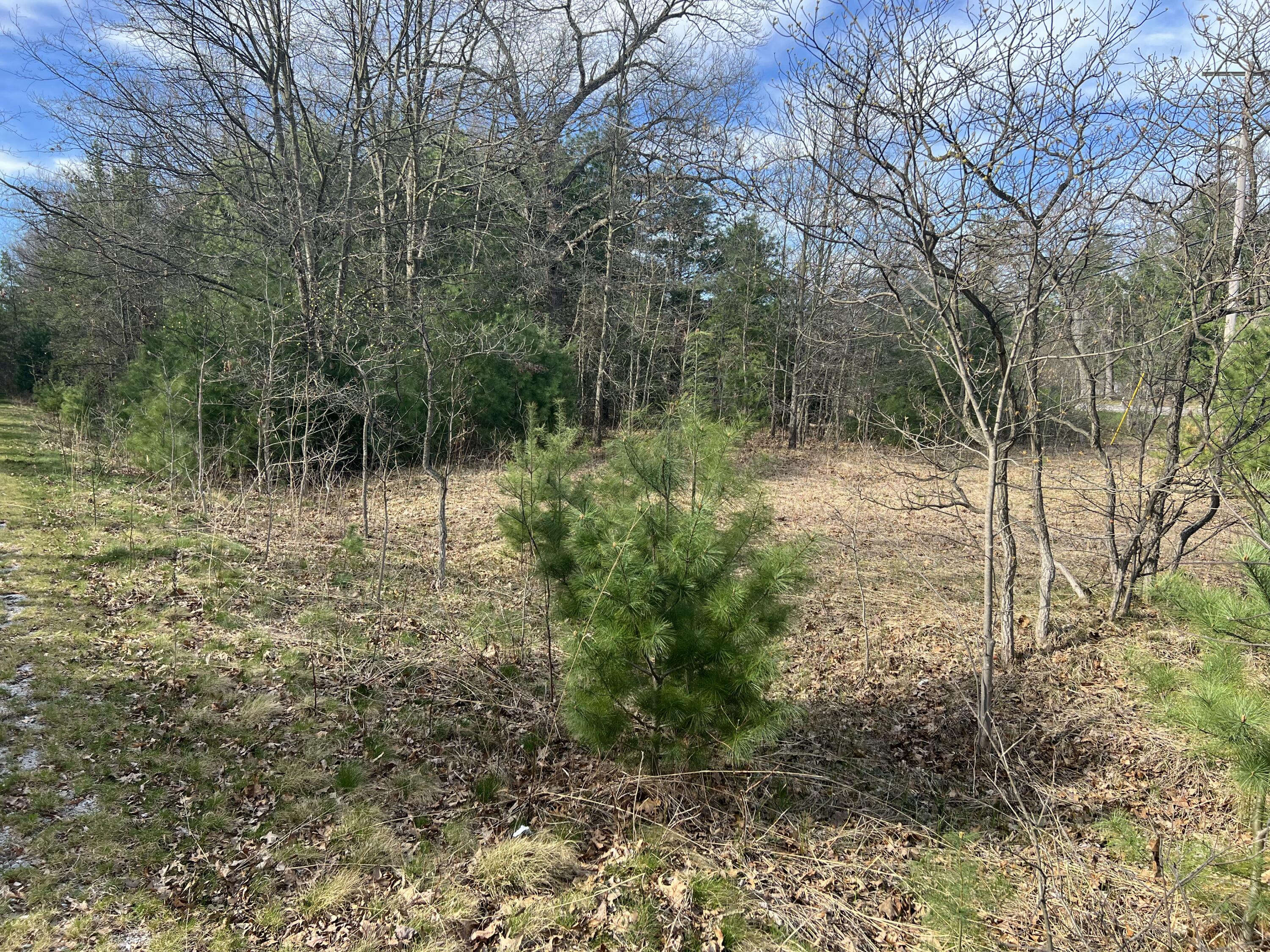 VL Whitehall Road Unit: 0001