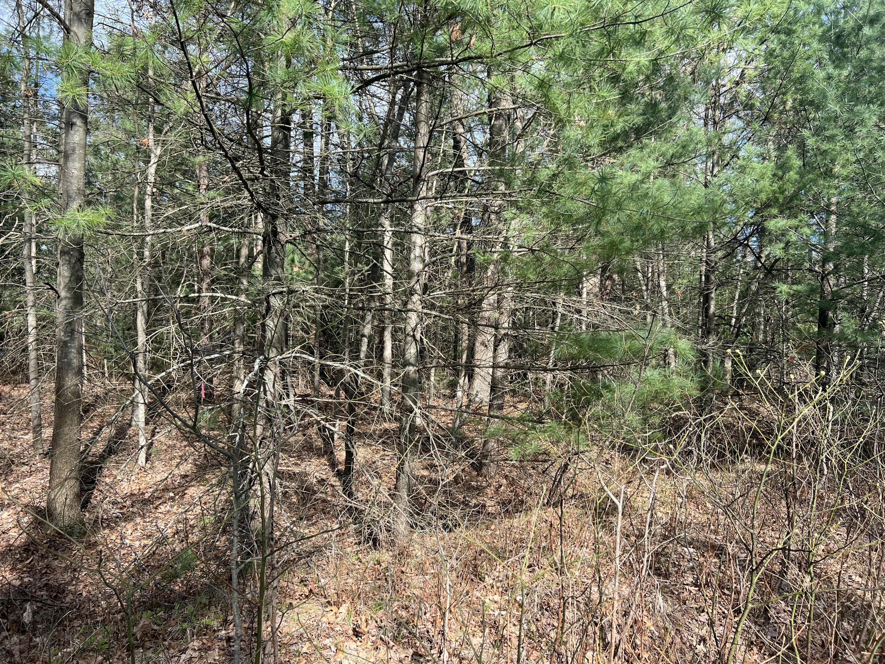 VL Whitehall Road Unit: 0001