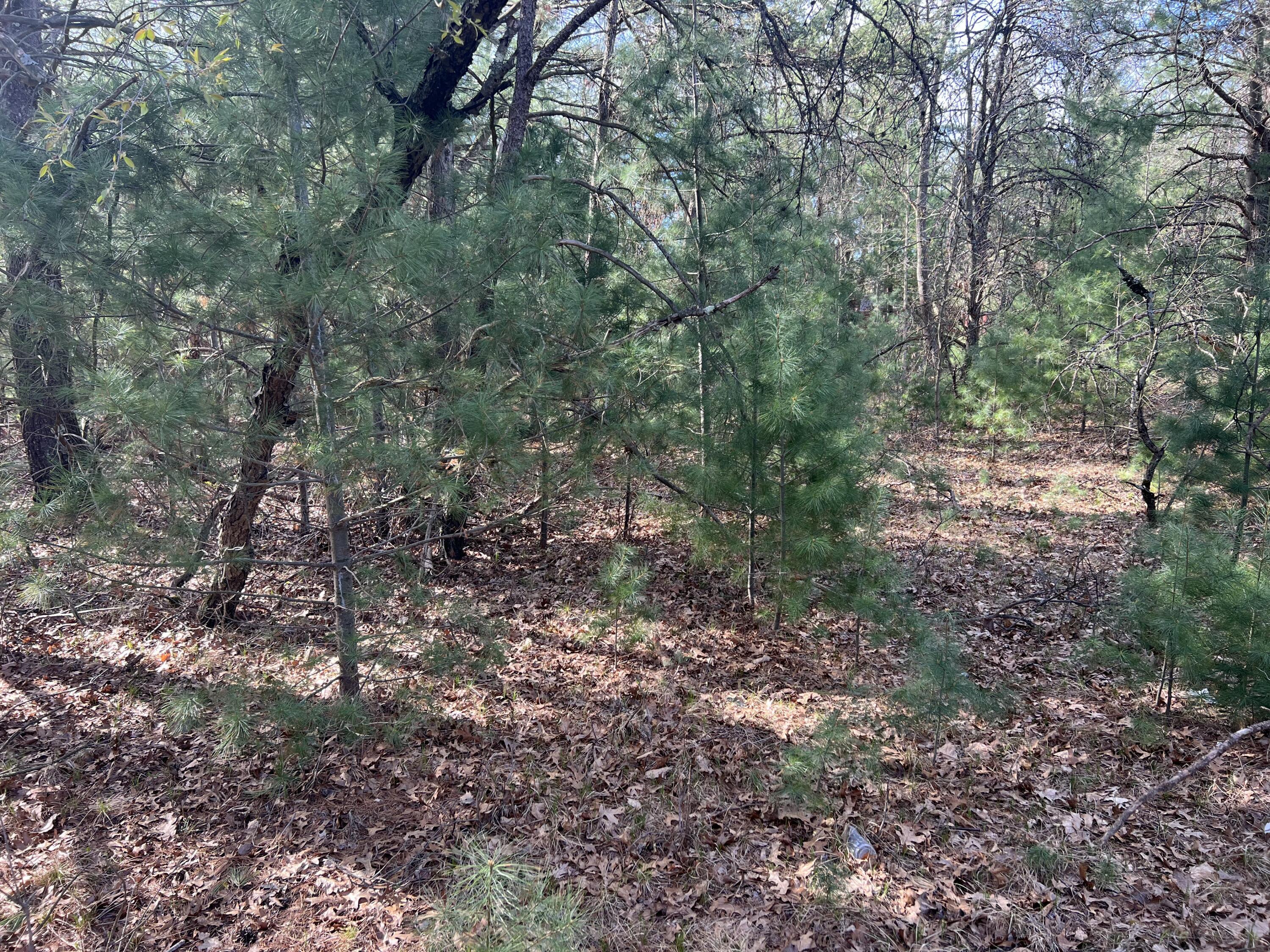 VL Whitehall Road Unit: 0001