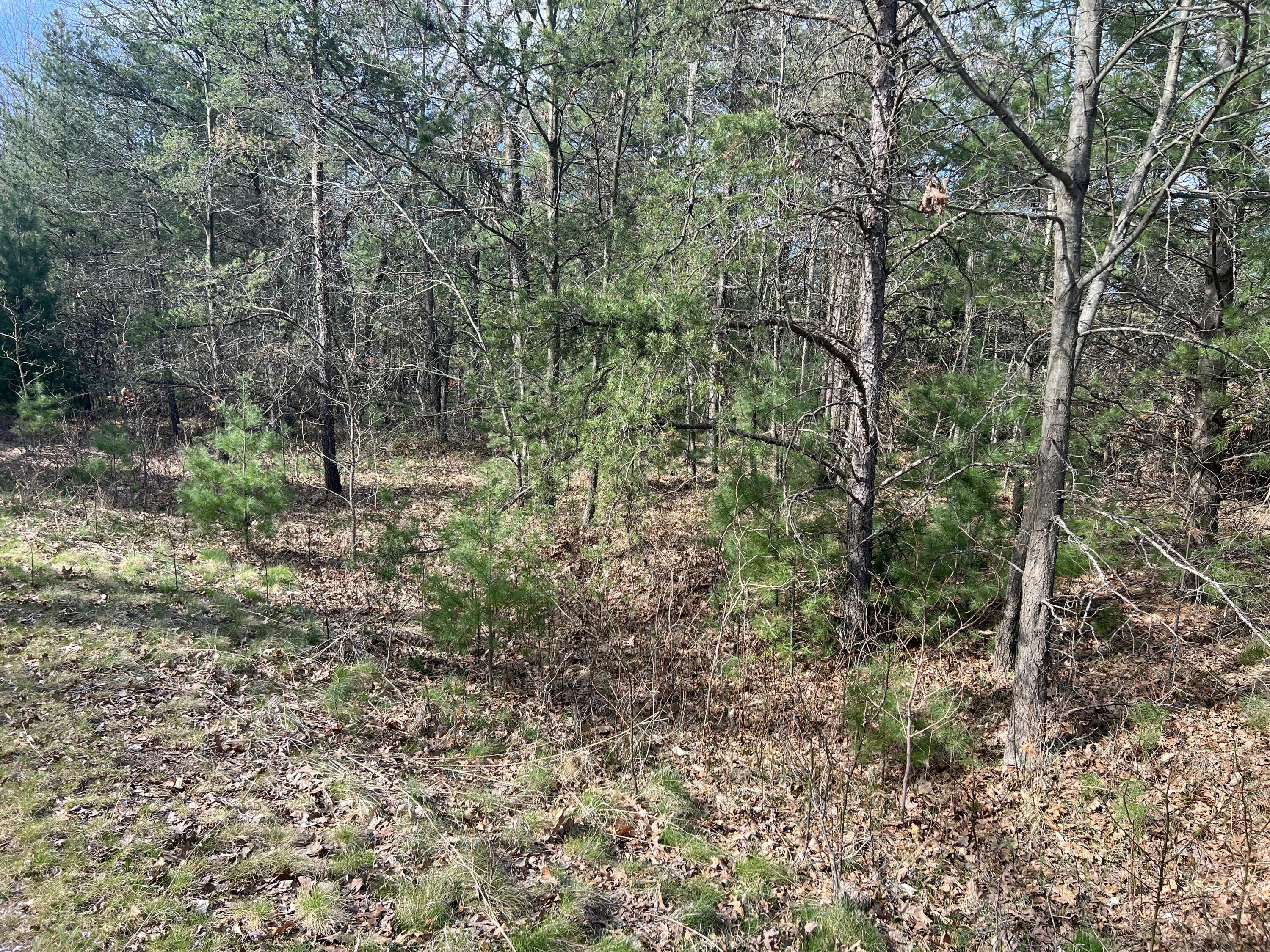 VL Whitehall Road Unit: 0001