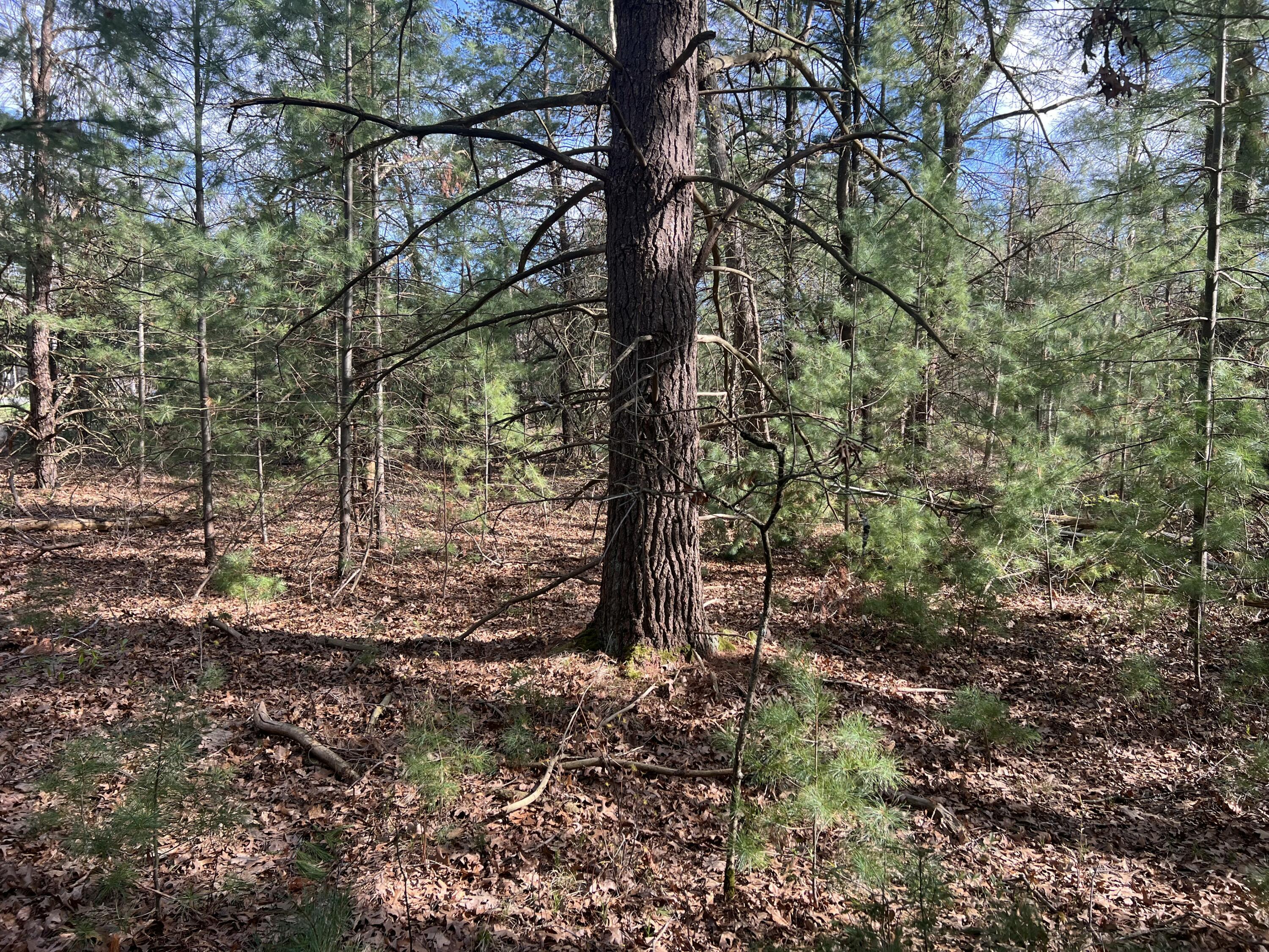 VL Whitehall Road Unit: 0001