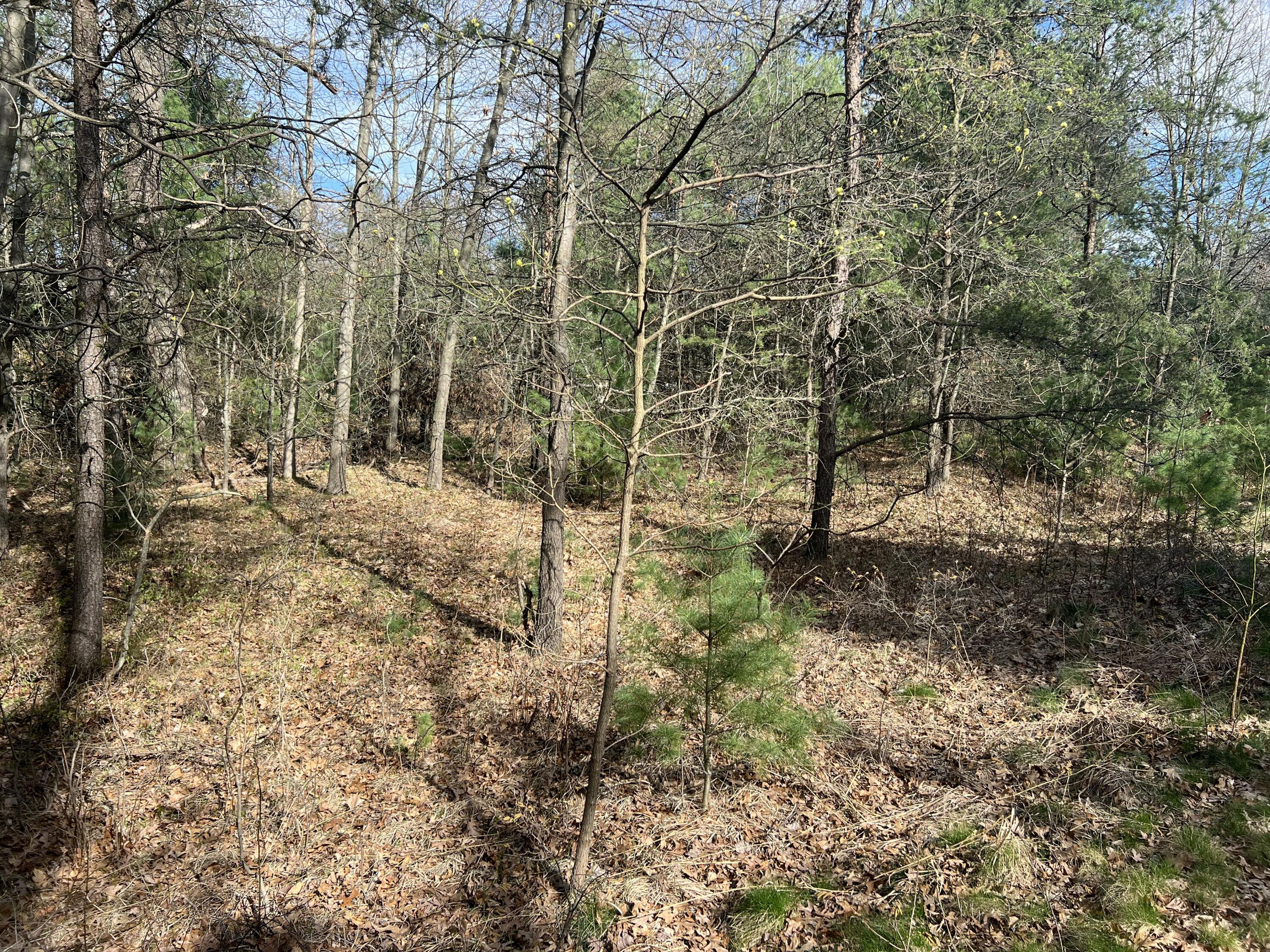 VL Whitehall Road Unit: 0001