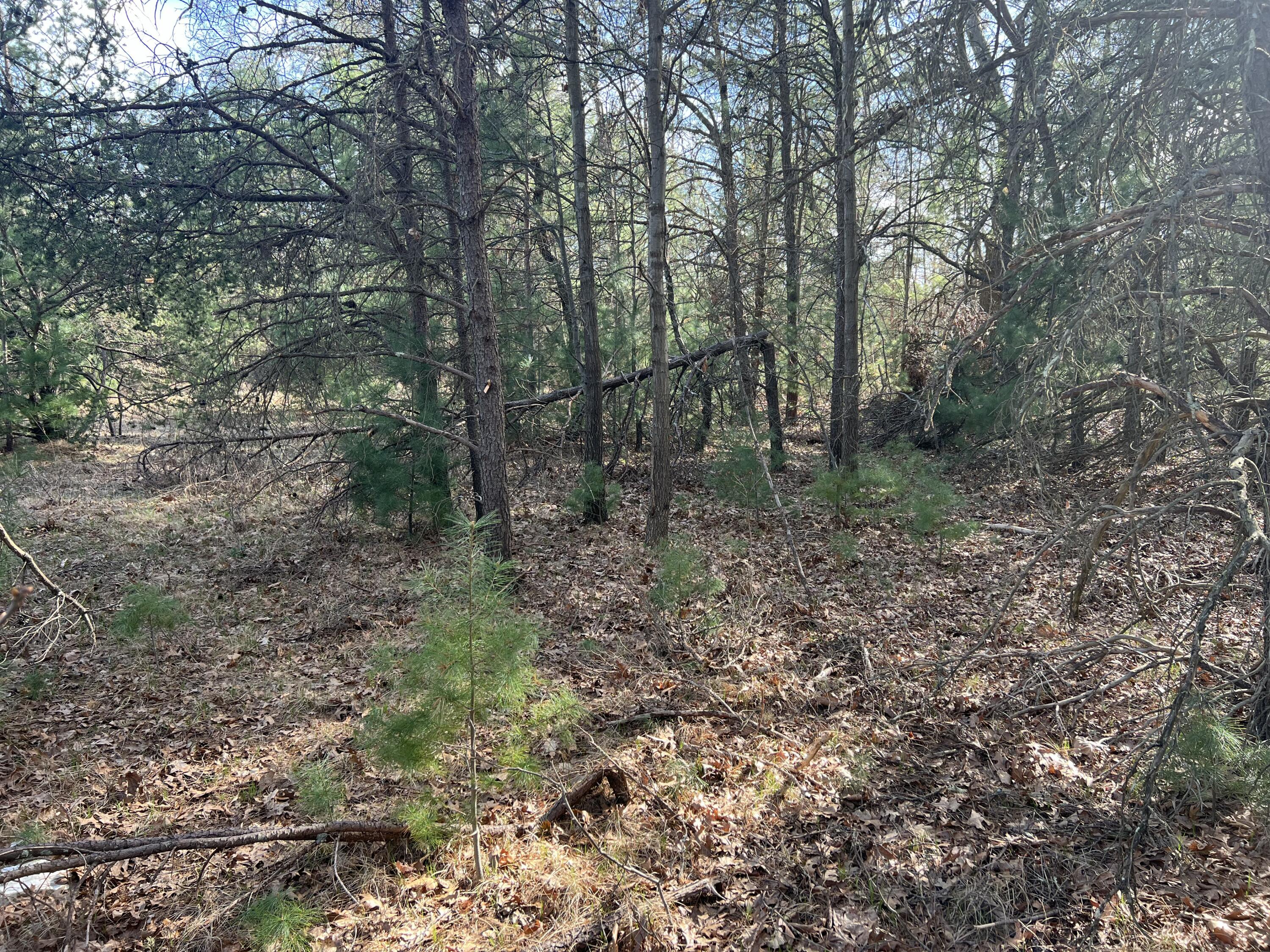 VL Whitehall Road Unit: 0001