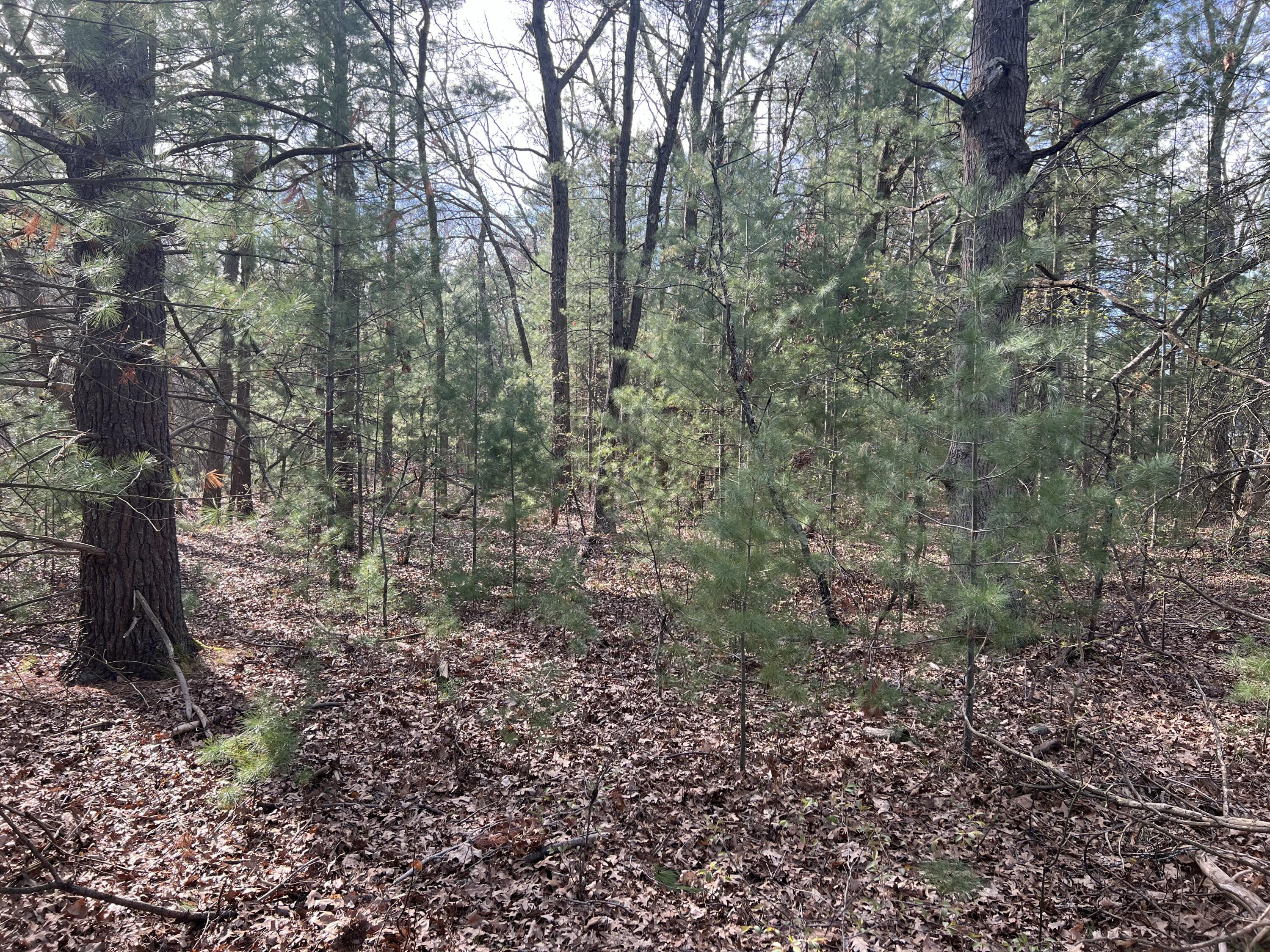 VL Whitehall Road Unit: 0001