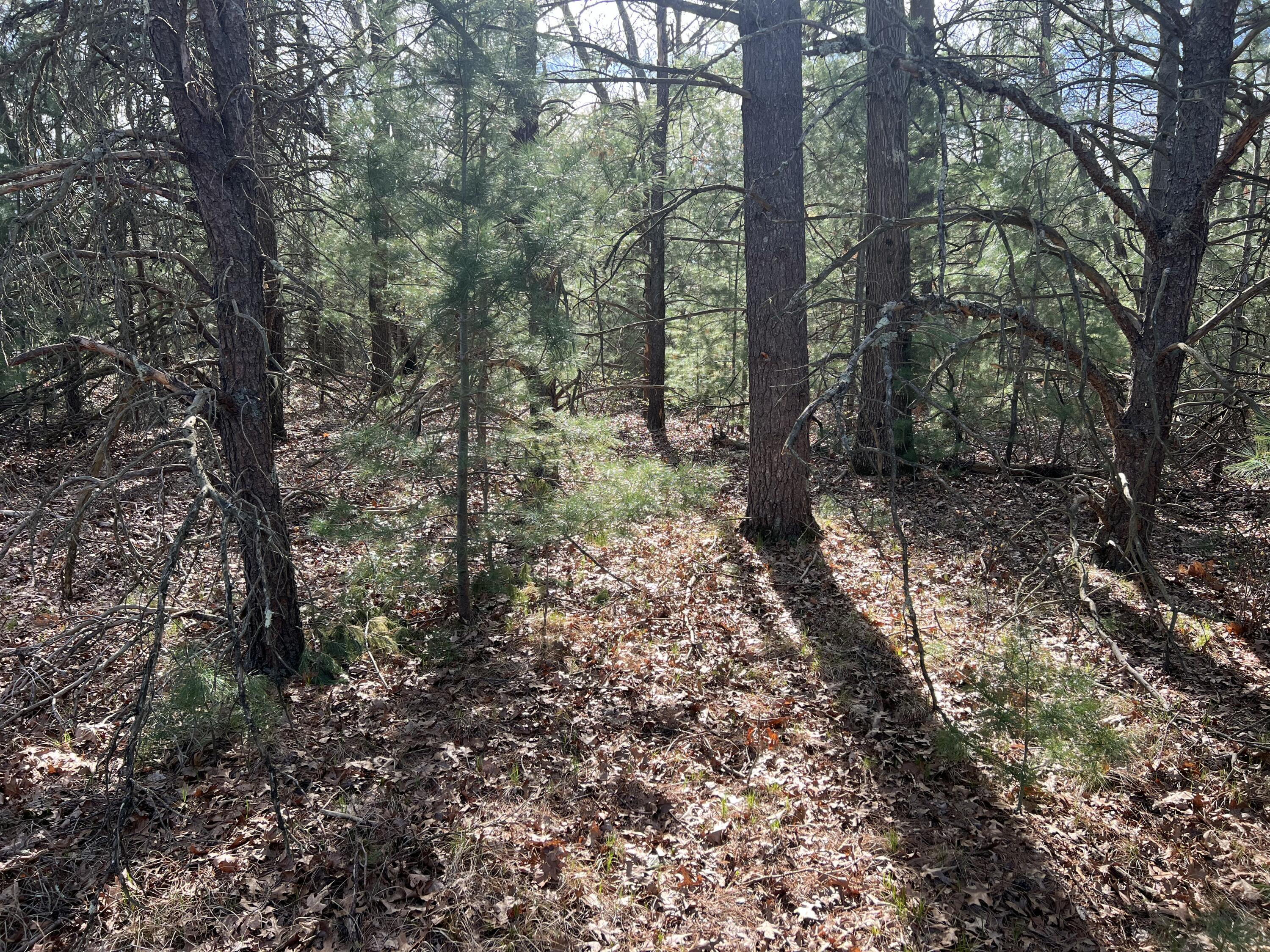 VL Whitehall Road Unit: 0001