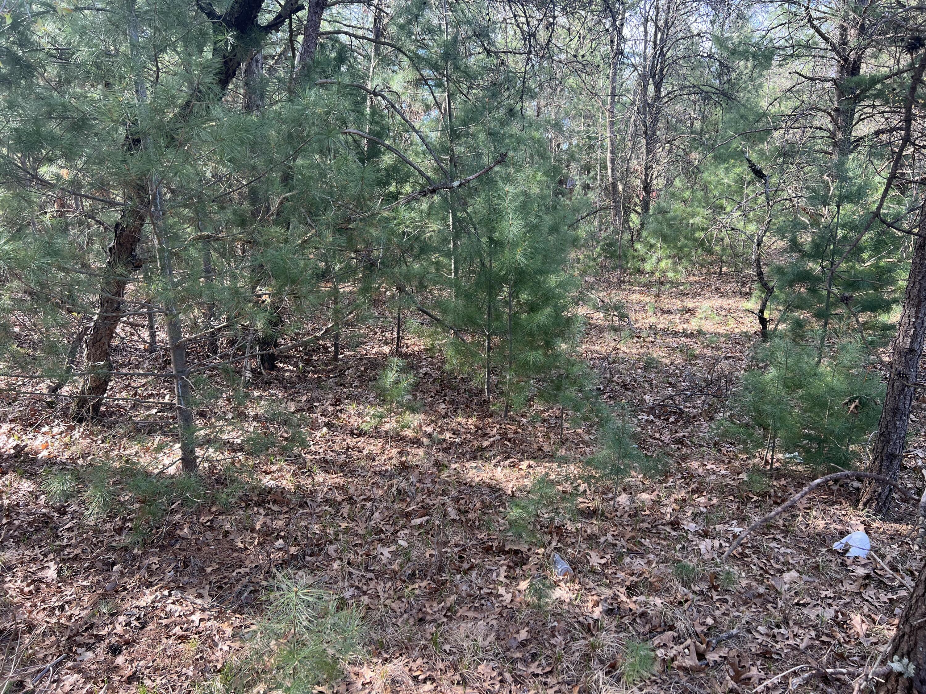 VL Whitehall Road Unit: 0001