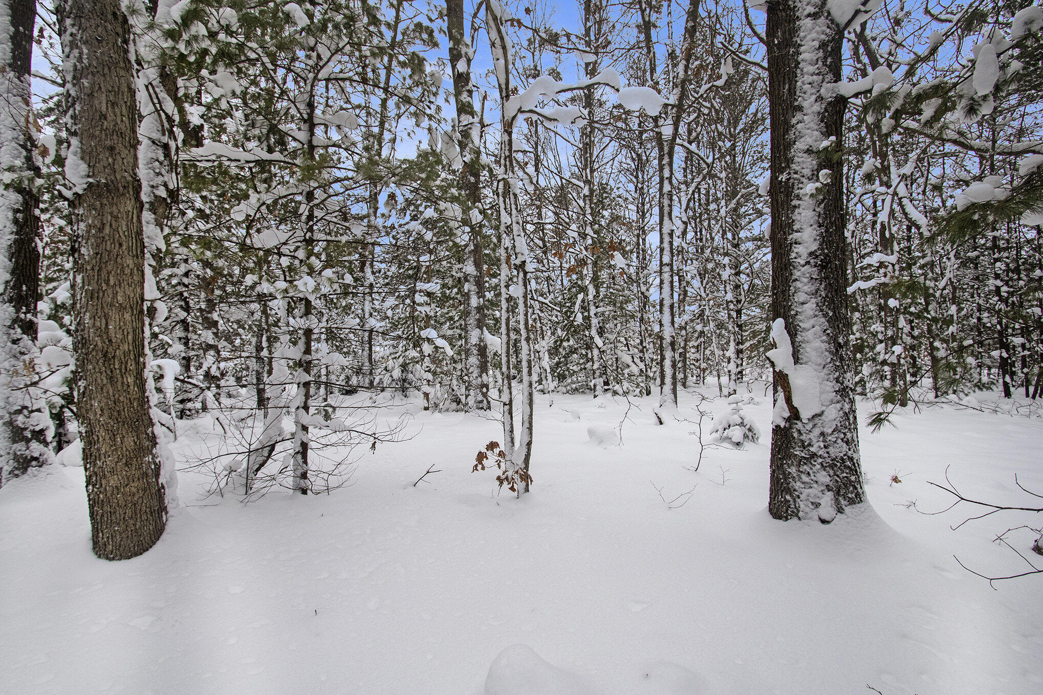 VL 5.27 ACRES Whitehall Road