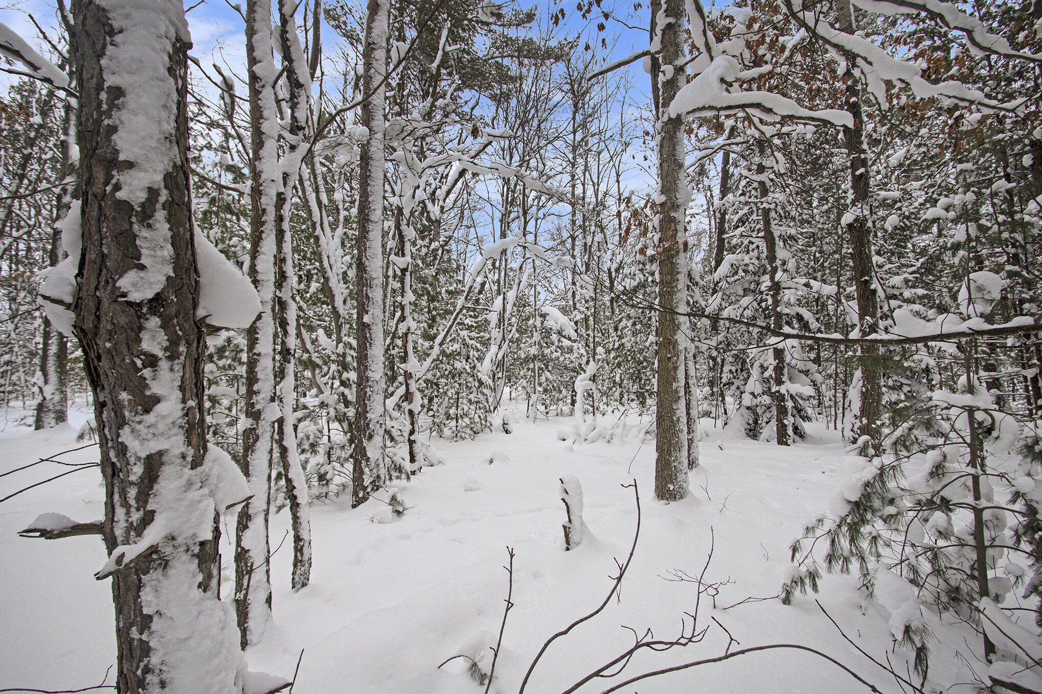 VL 5.27 ACRES Whitehall Road