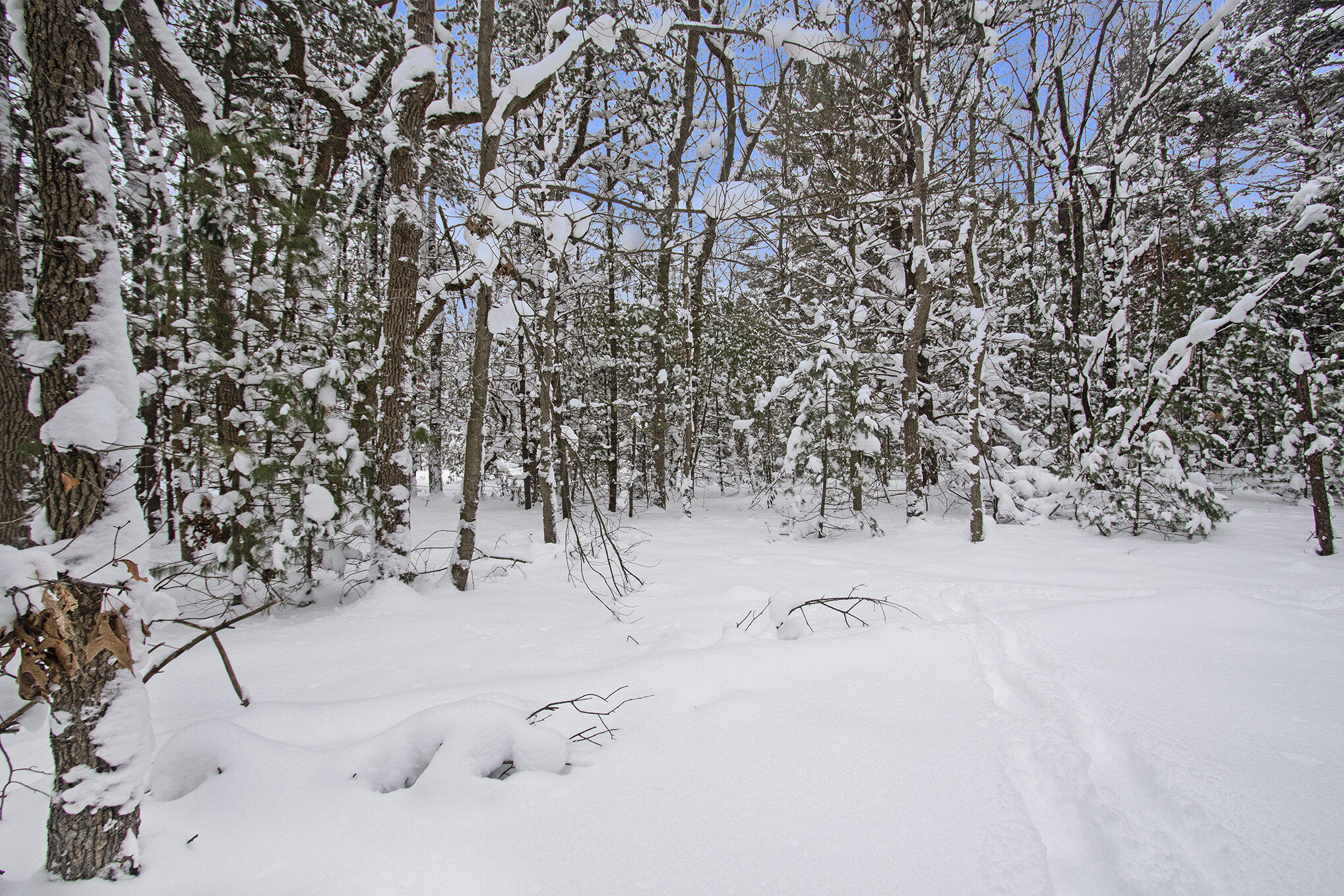 VL 5.27 ACRES Whitehall Road