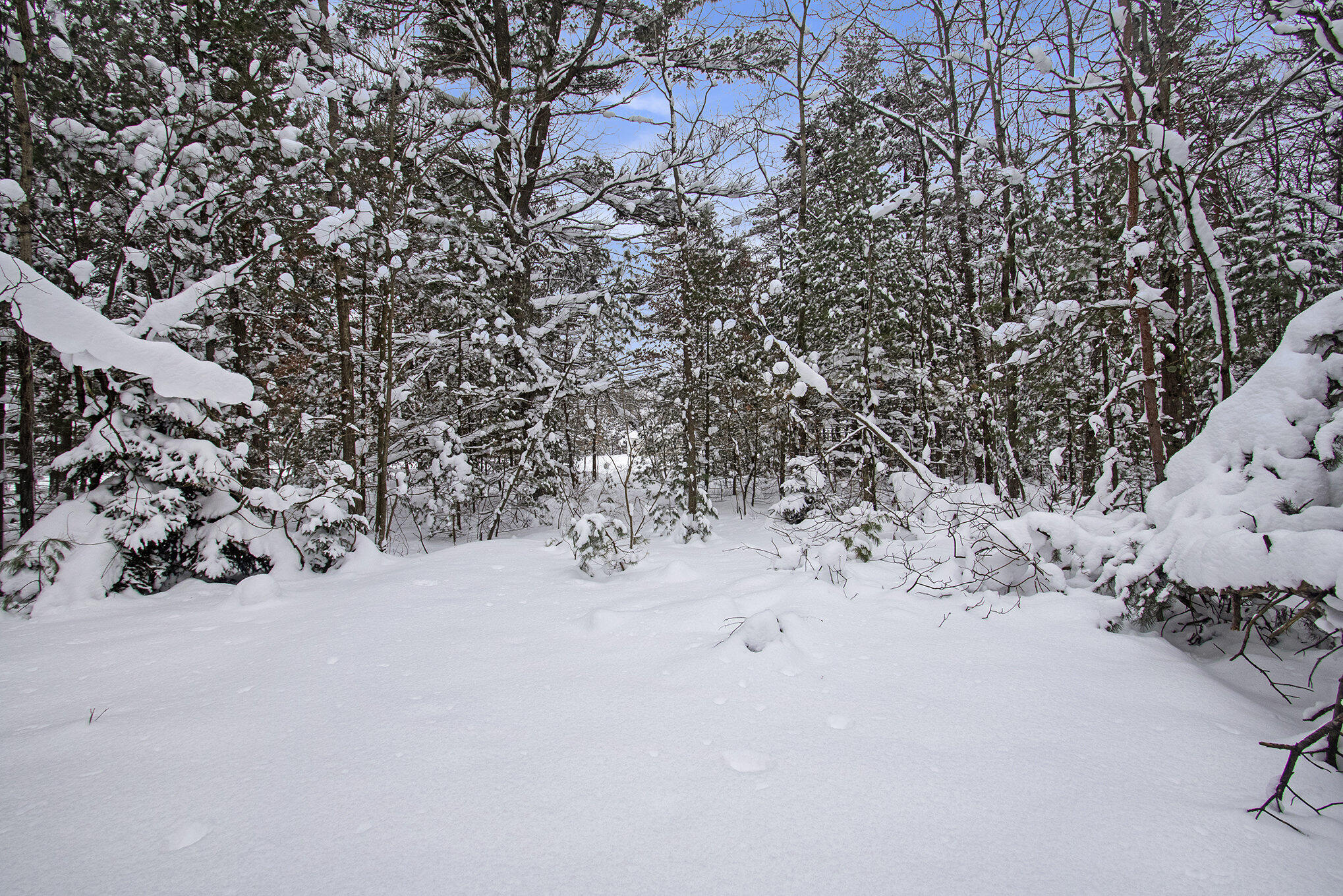 VL 5.27 ACRES Whitehall Road