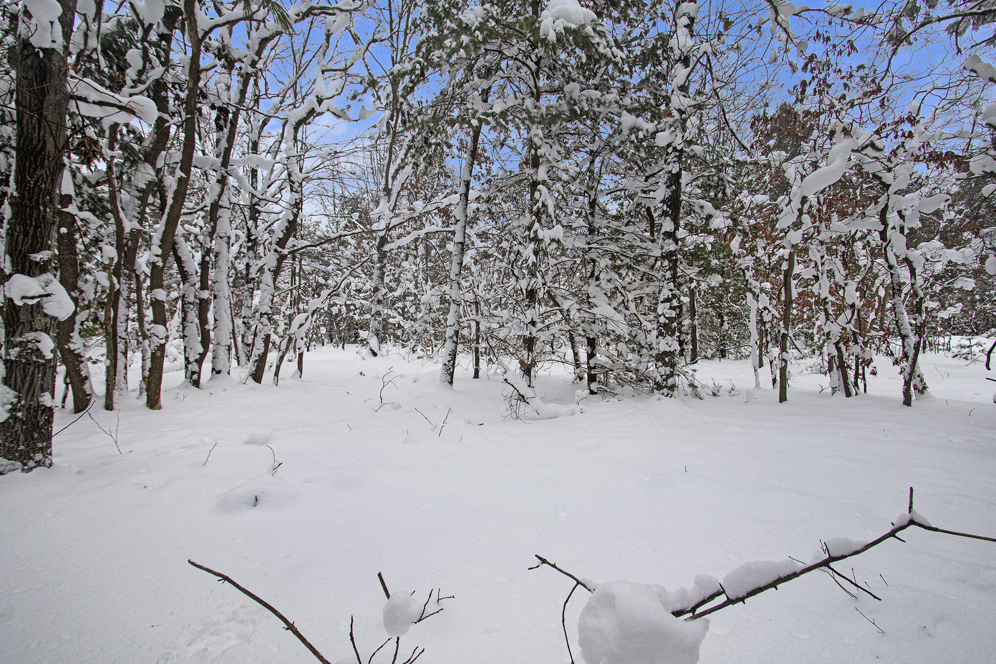 VL 5.27 ACRES Whitehall Road