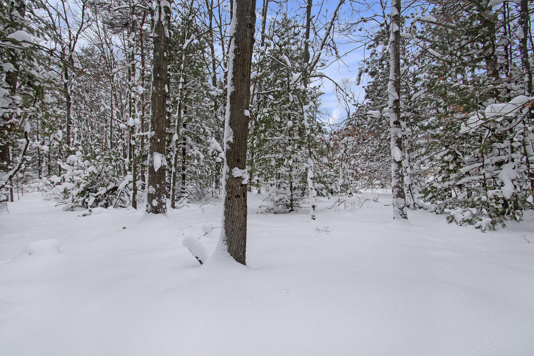 VL 5.27 ACRES Whitehall Road