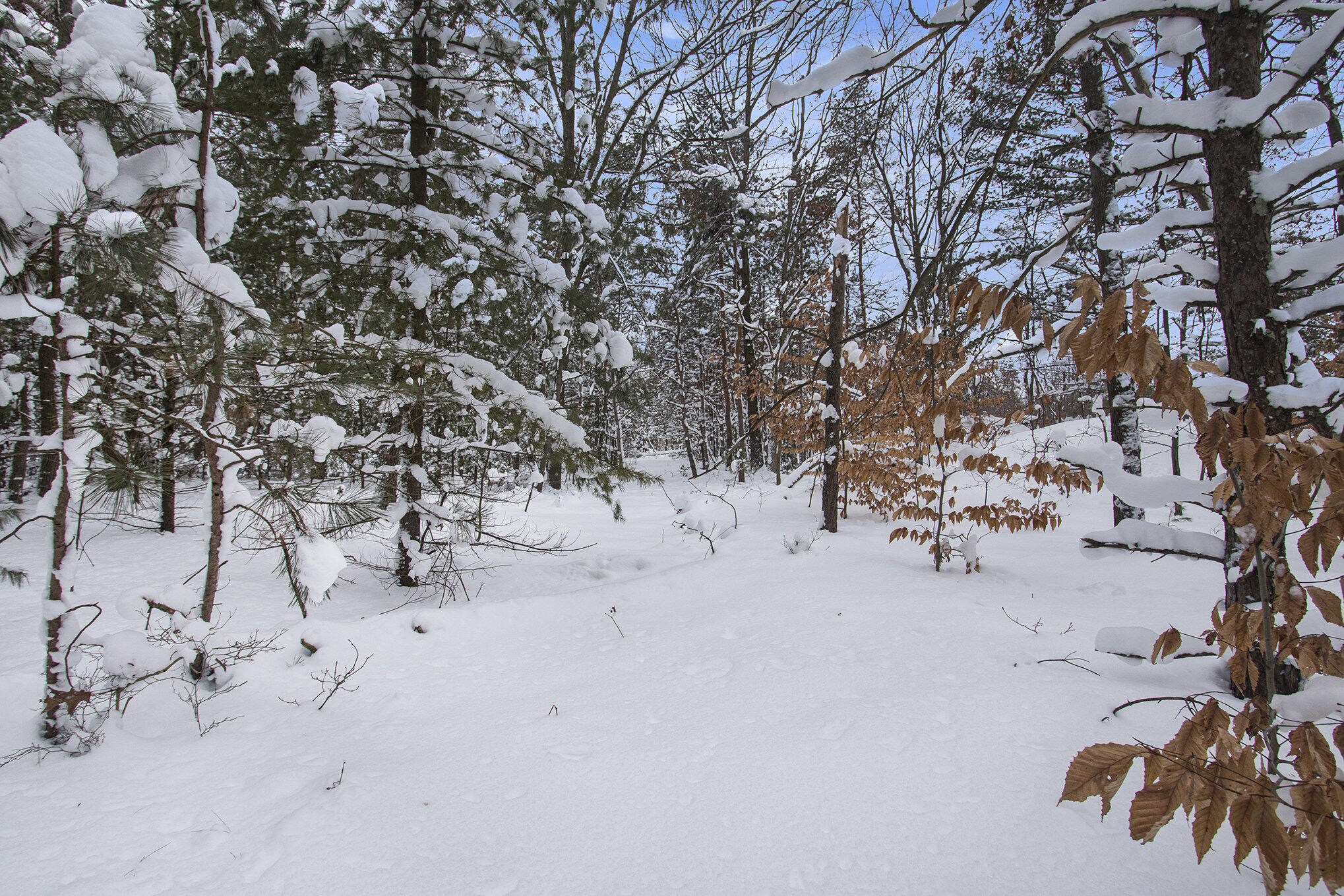 VL 5.27 ACRES Whitehall Road