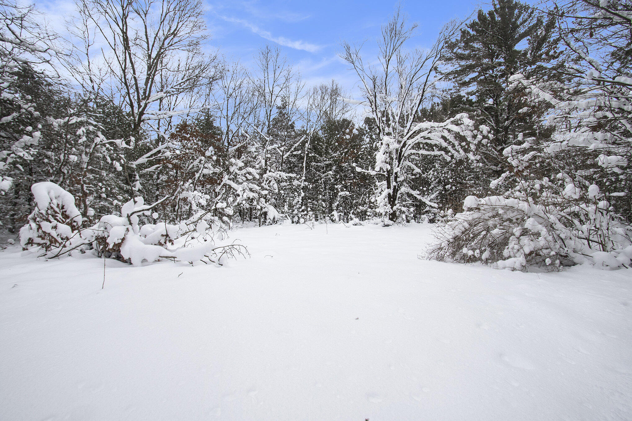 VL 5.27 ACRES Whitehall Road