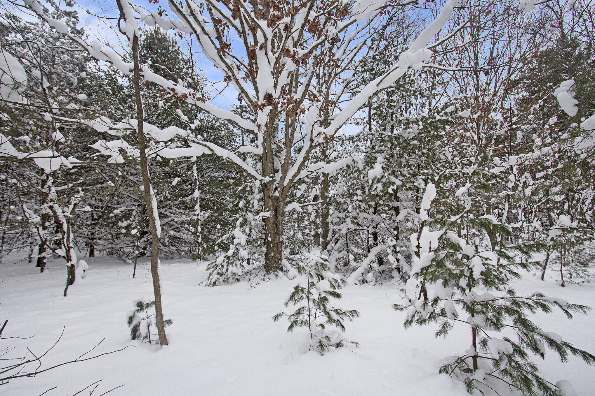 VL 5.27 ACRES Whitehall Road