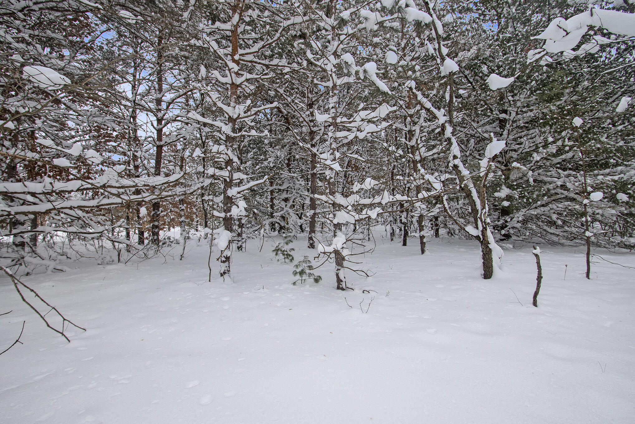 VL 5.27 ACRES Whitehall Road